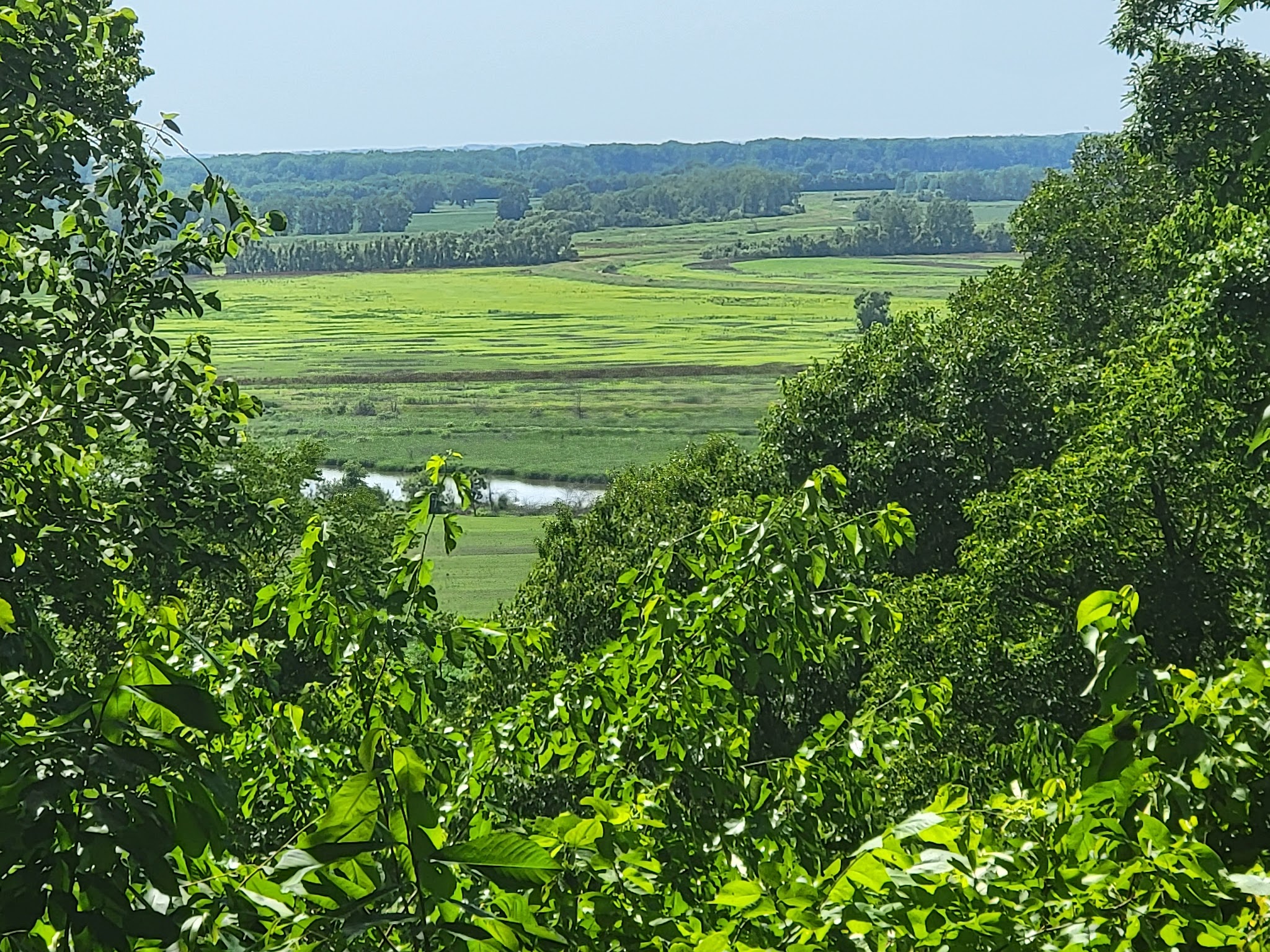 Annie And Abel Van Meter State Park Campground