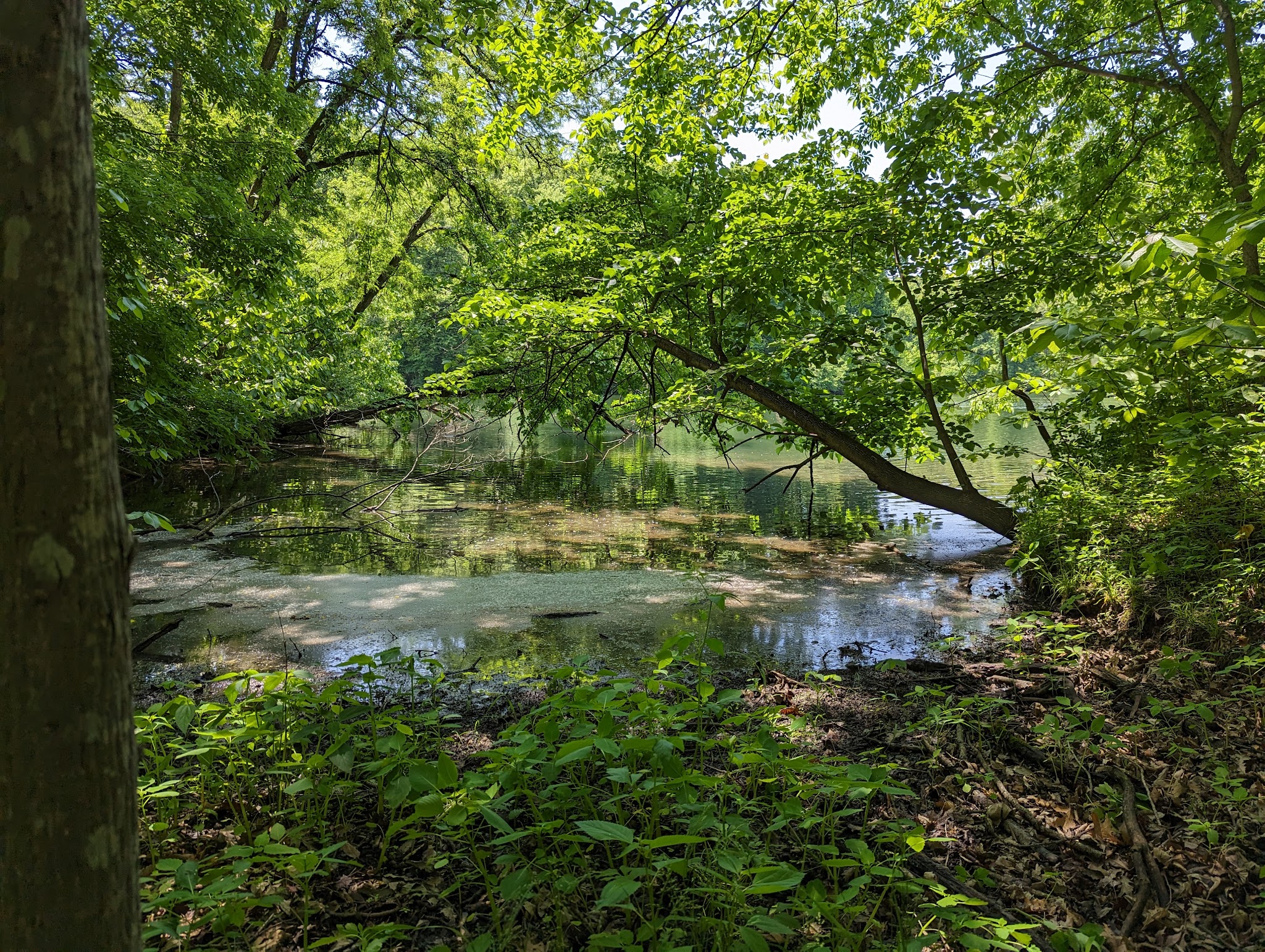 Annie And Abel Van Meter State Park Campground