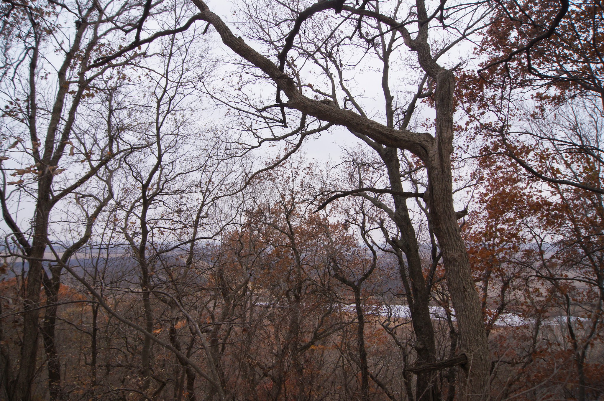 Annie And Abel Van Meter State Park Campground