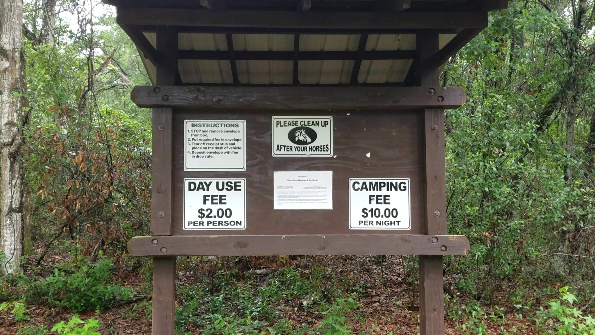 Annutteliga Hammock Unit Primitive Camp Zone