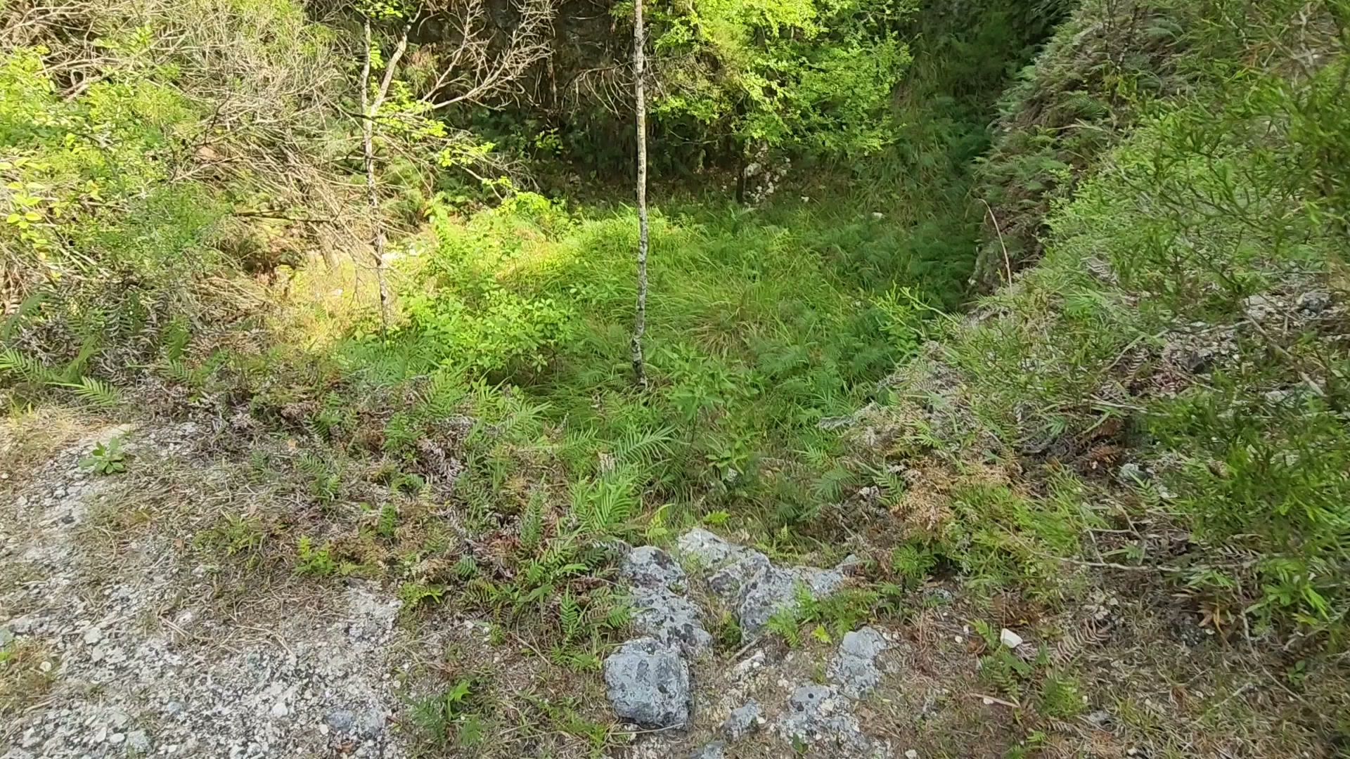 Annutteliga Hammock Unit Primitive Camp Zone