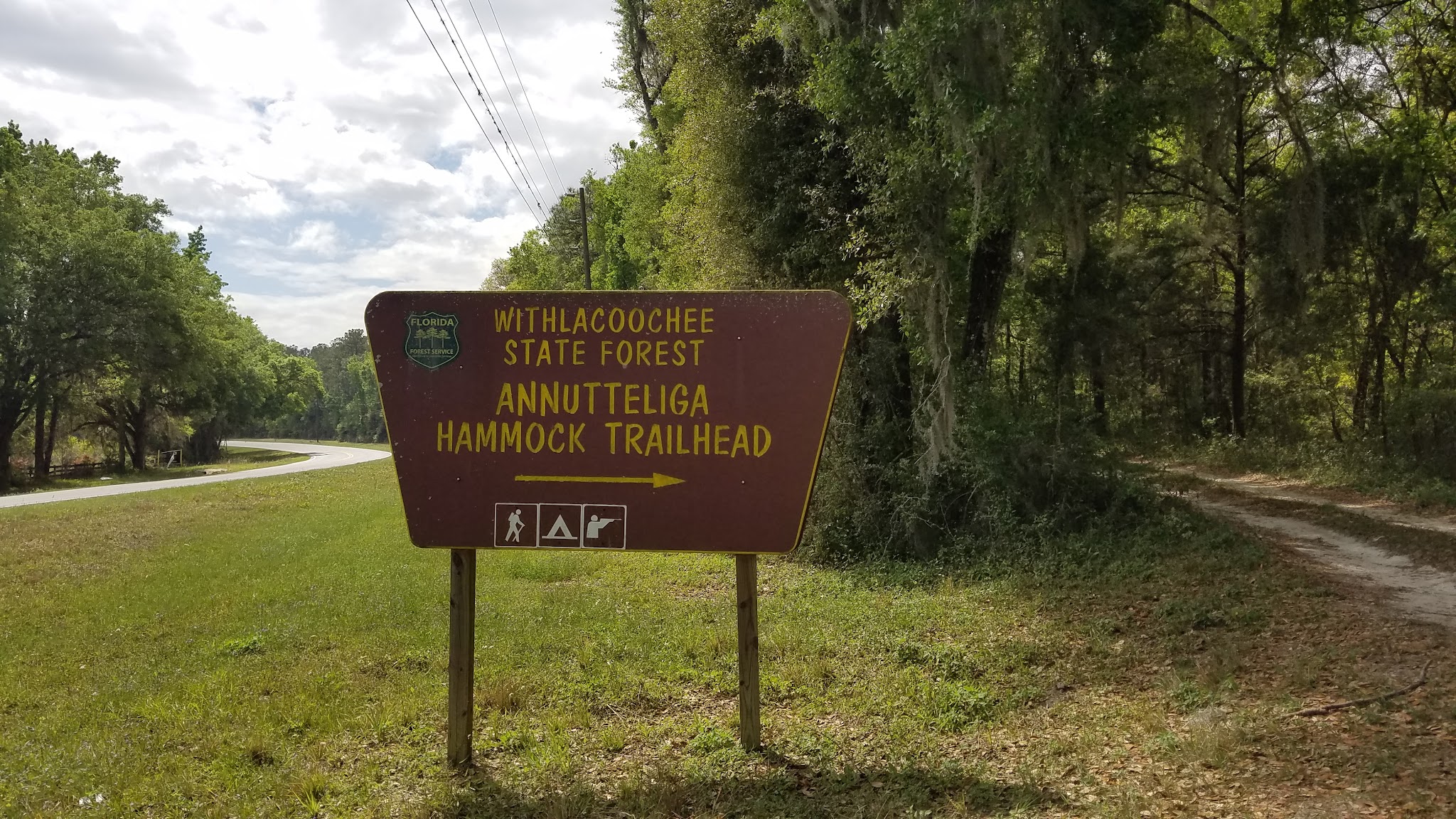 Annutteliga Hammock Unit Primitive Camp Zone