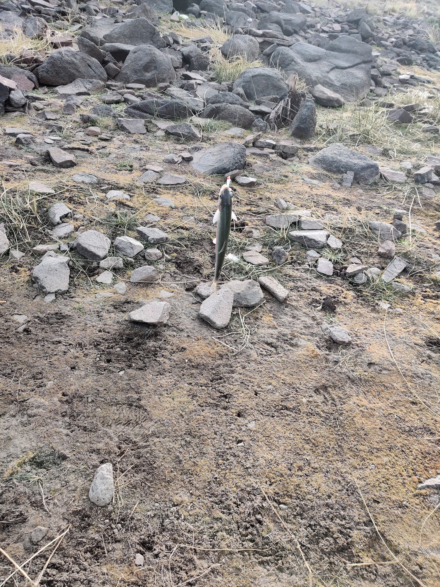 Antelope Flat Reservoir Campground And Day Use