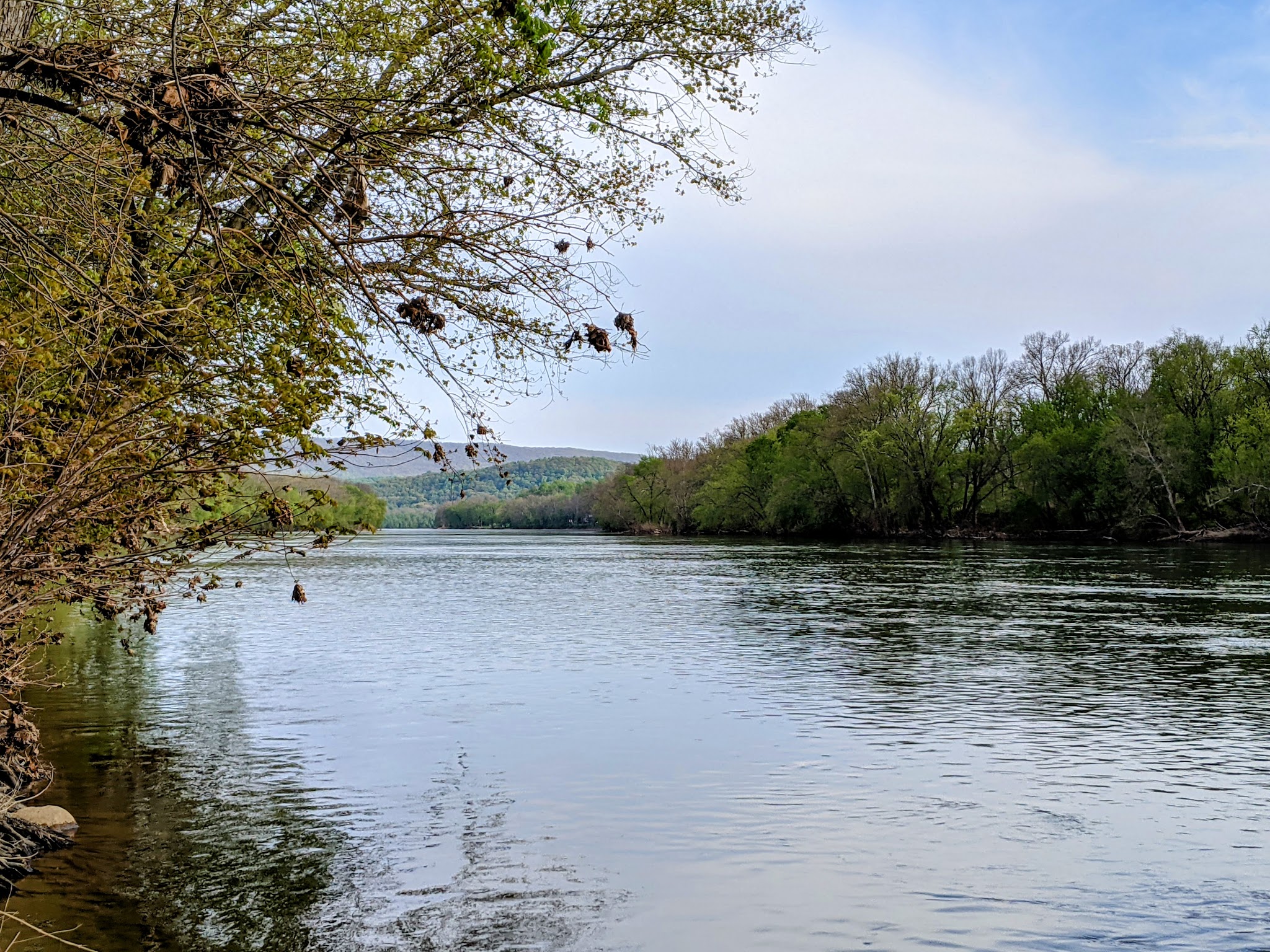 Antietam Creek Campsite