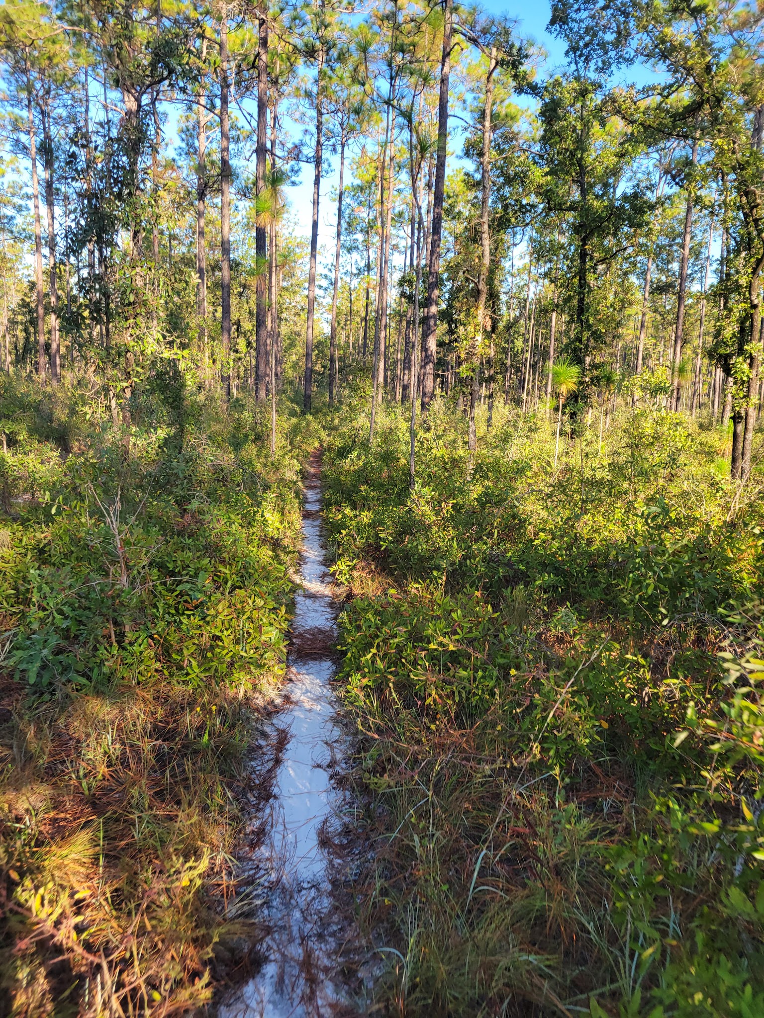 Twin Poles Hunt Camp