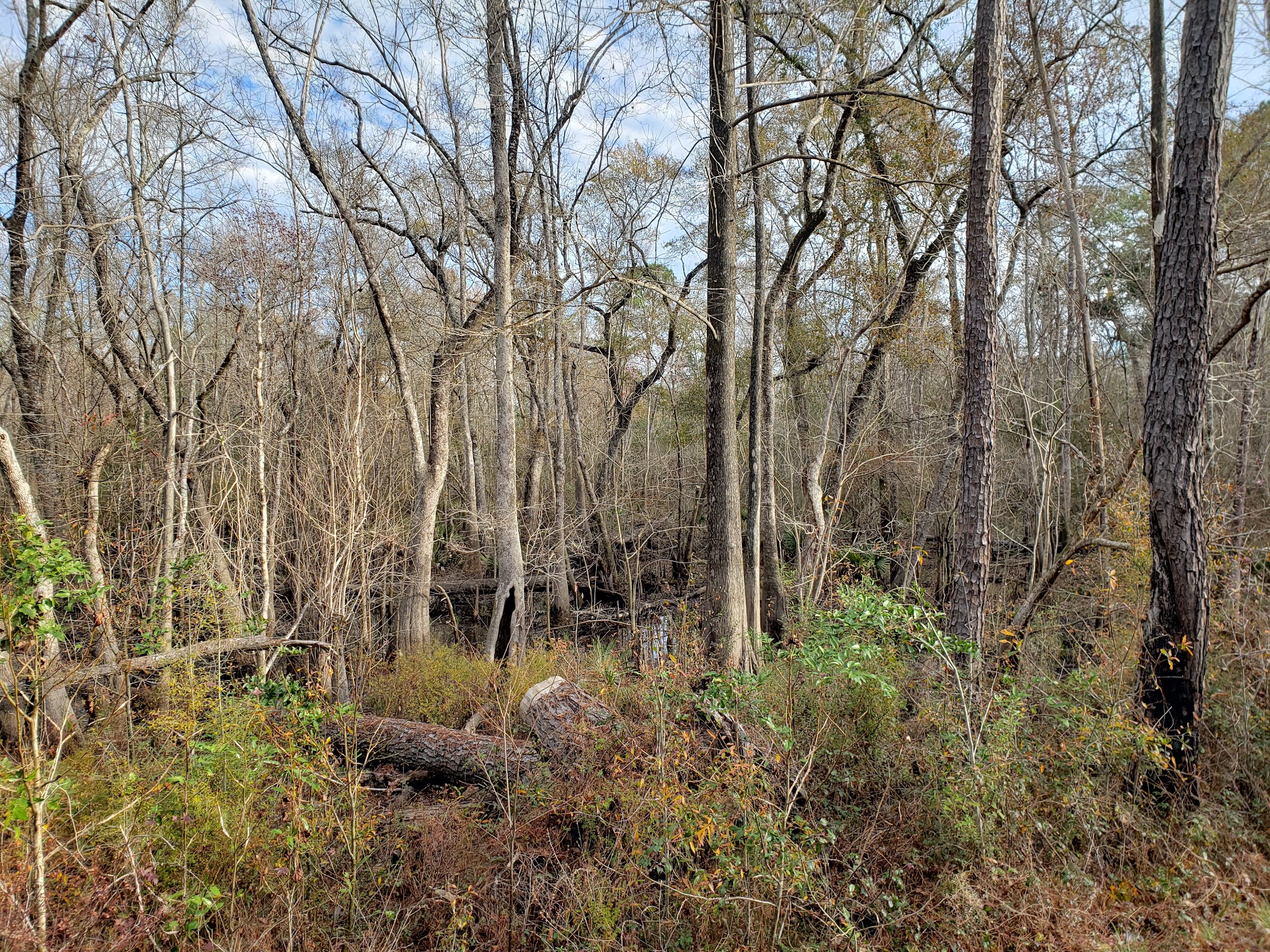 Twin Poles Hunt Camp
