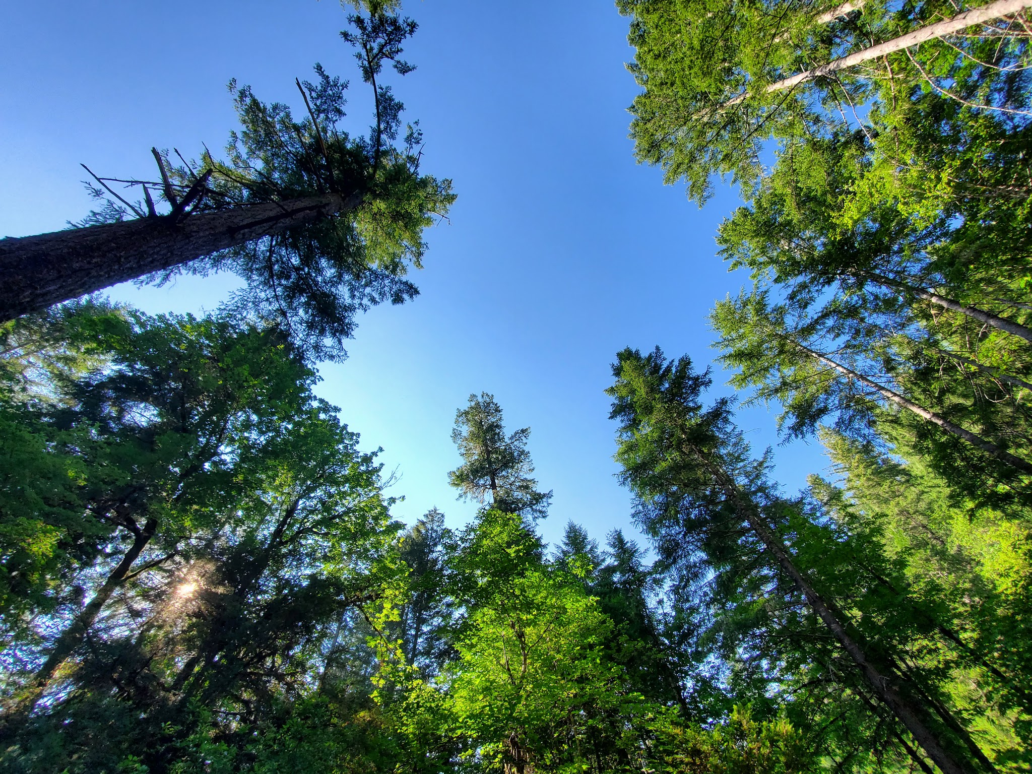 Apple Creek Campground