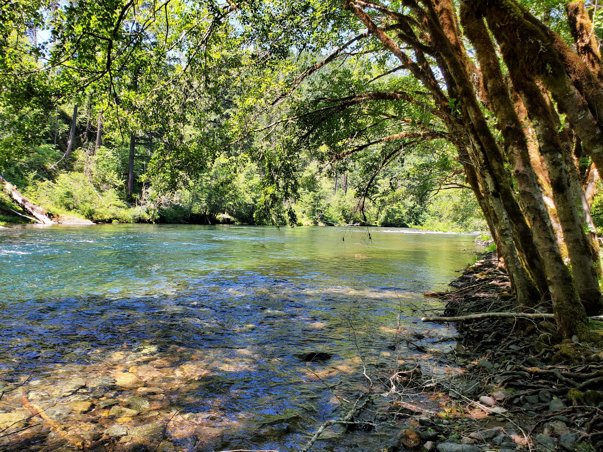 Apple Creek Campground