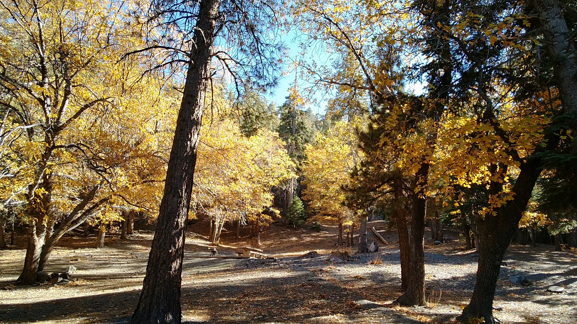 Appletree Campground