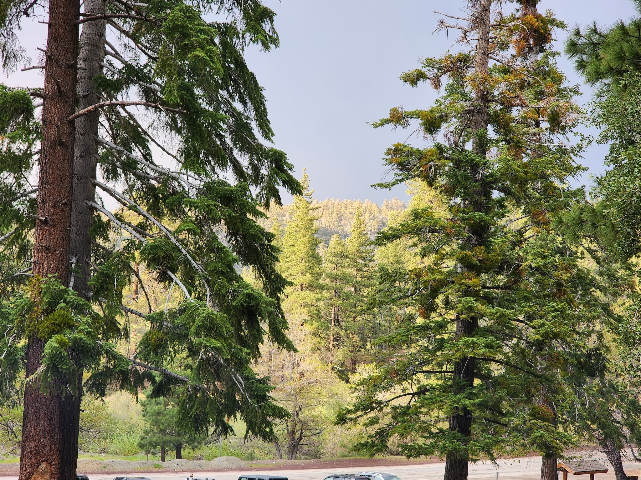 Appletree Campground