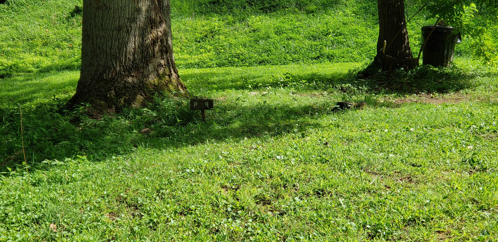 Appletree Group Campground