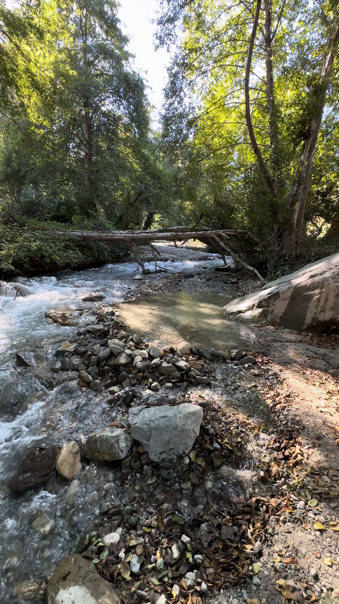 Applewhite Campground | CA | Camping Information & Reviews