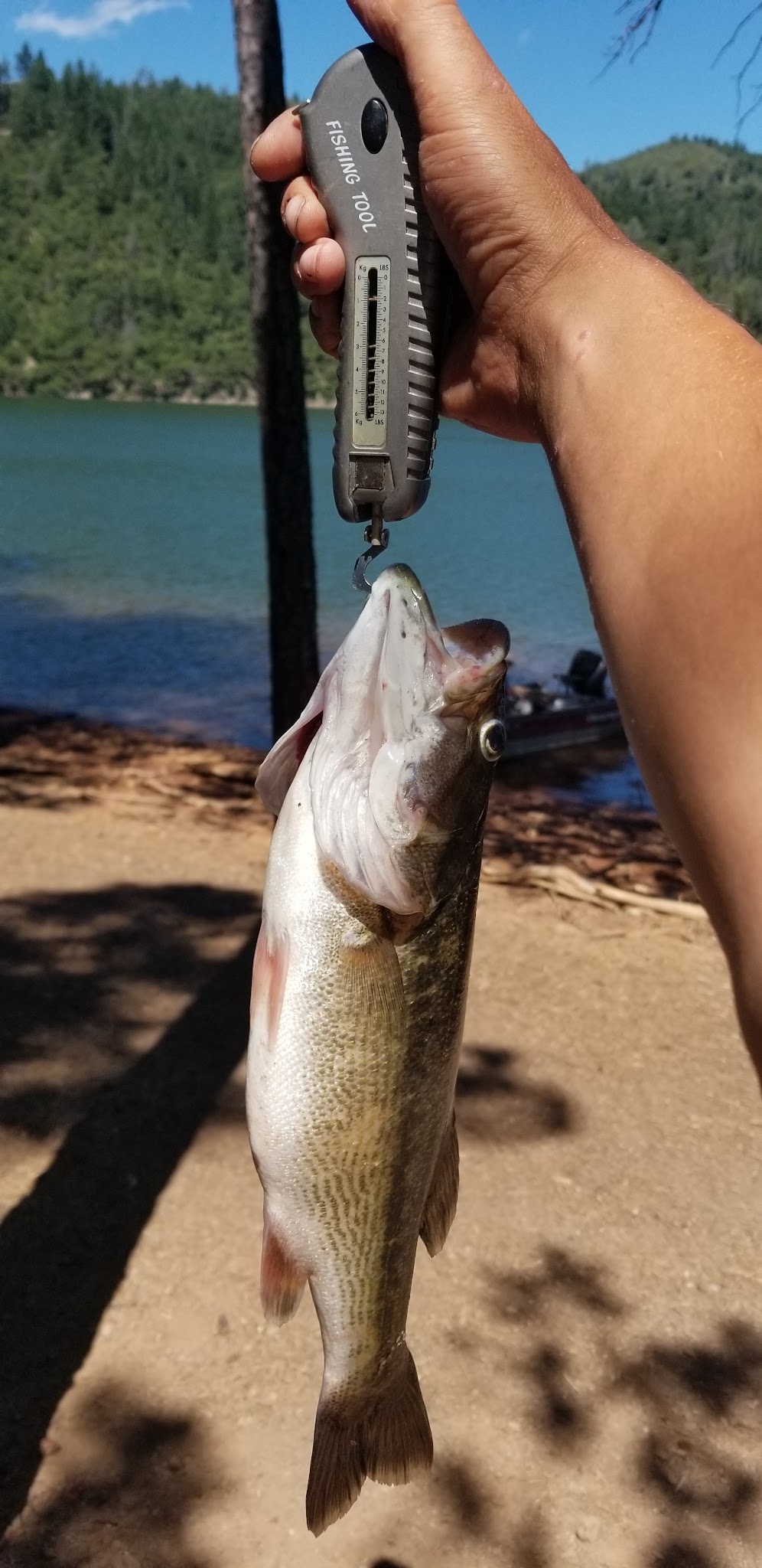 Arbuckle Flat Boat-In Campground