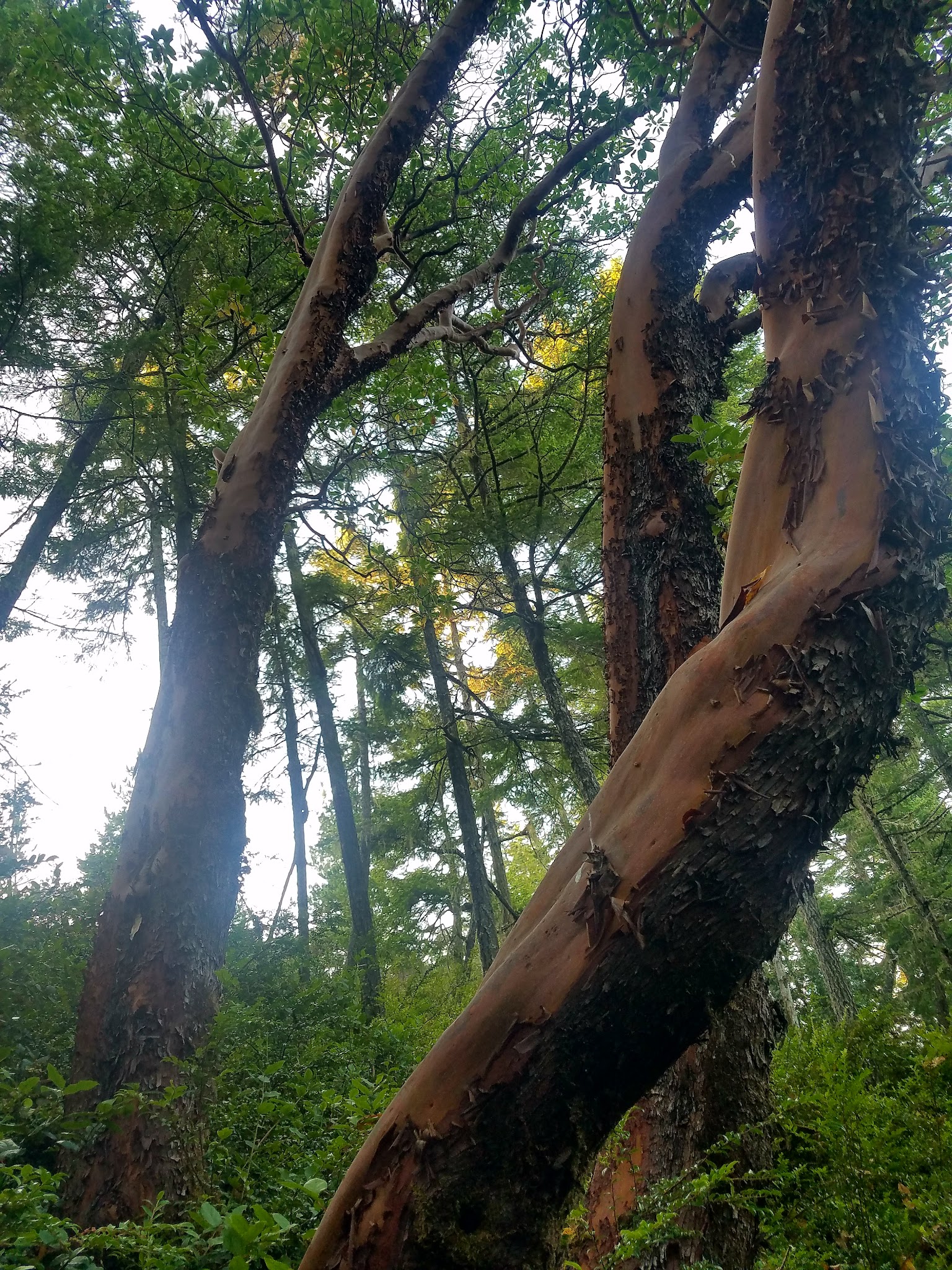Eel Creek Campground