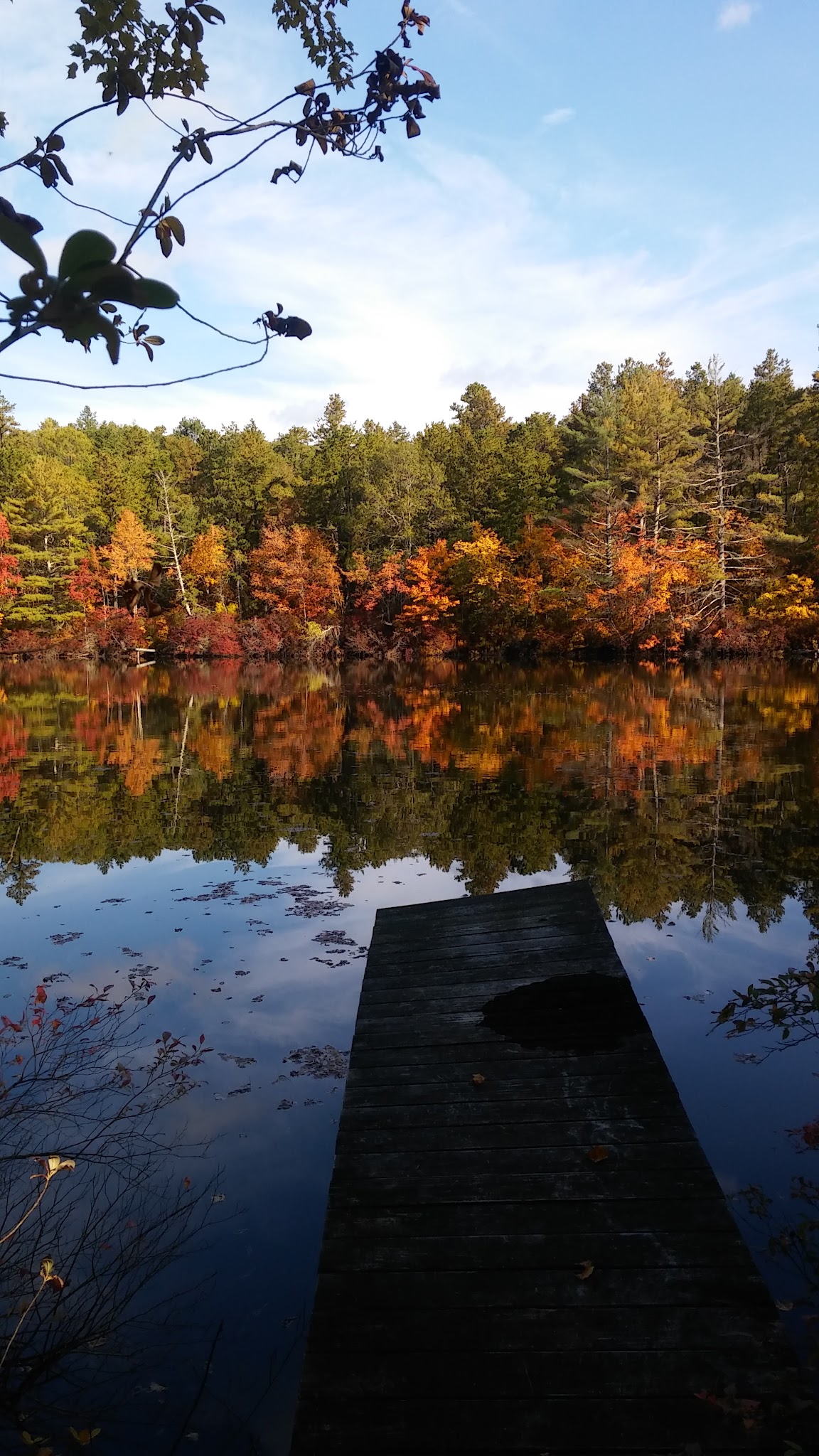 Arcadia Backpack Area