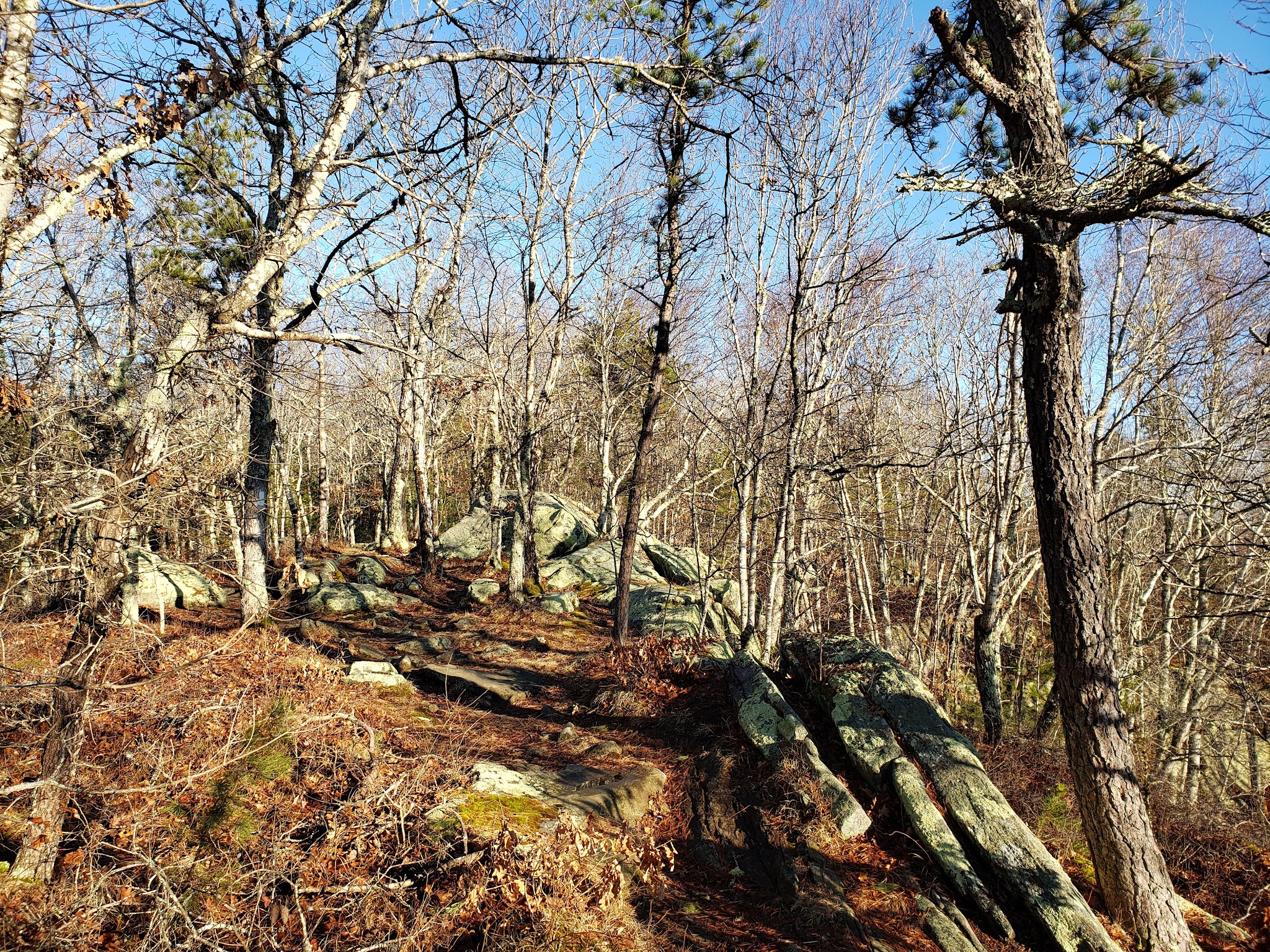 Arcadia Backpack Area