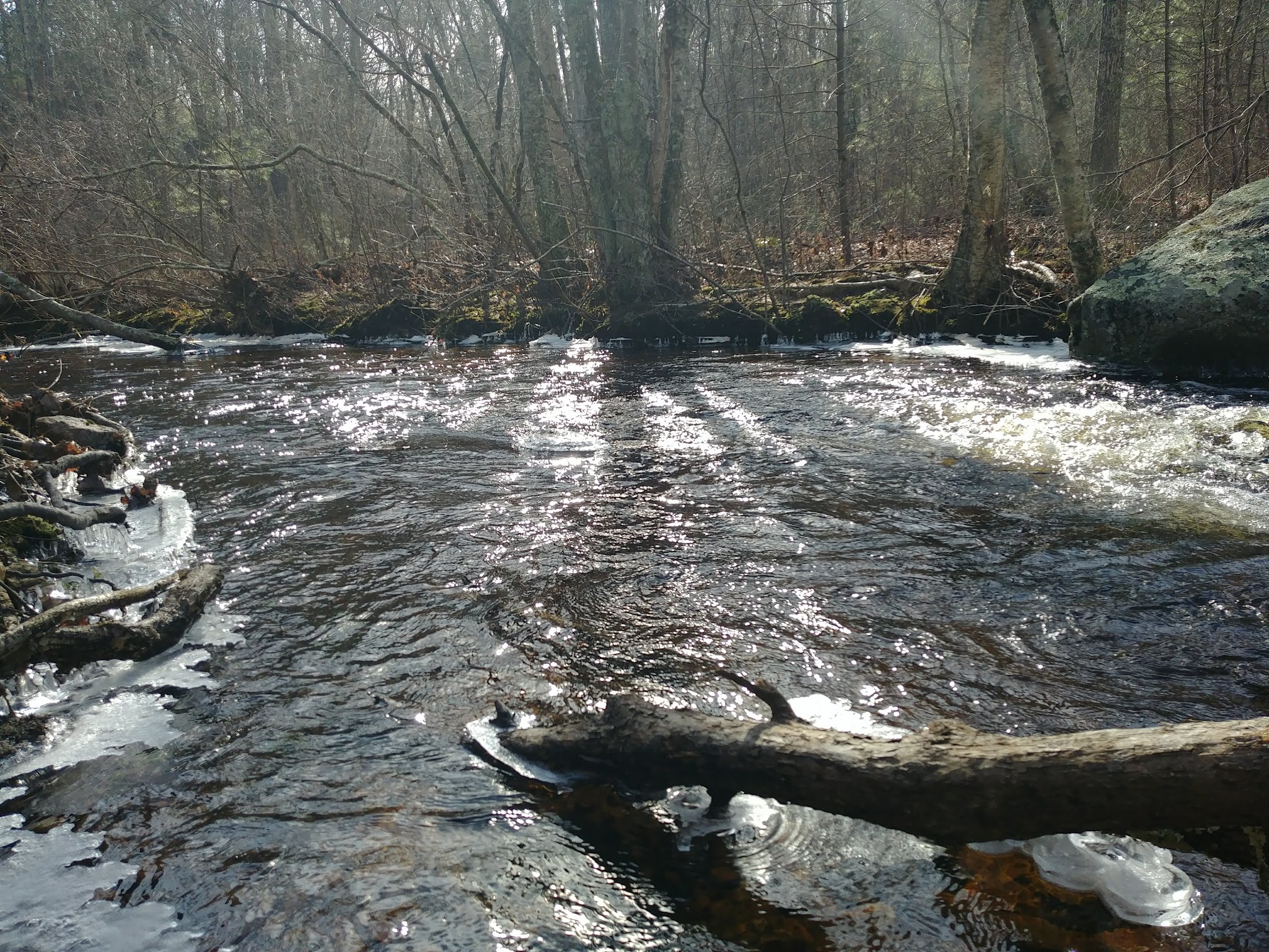 Arcadia Backpack Area