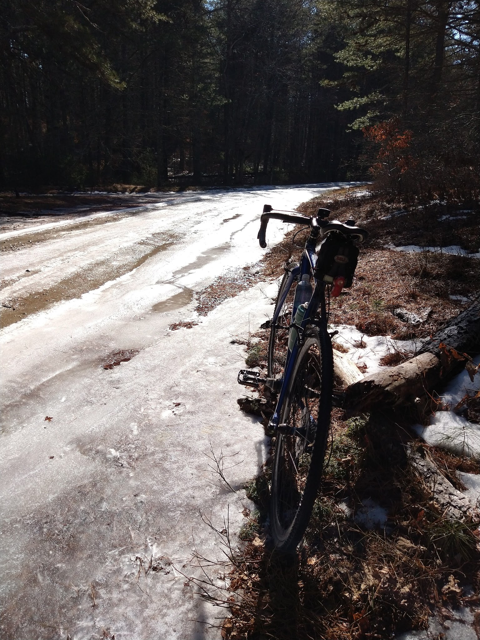 Arcadia Backpack Area