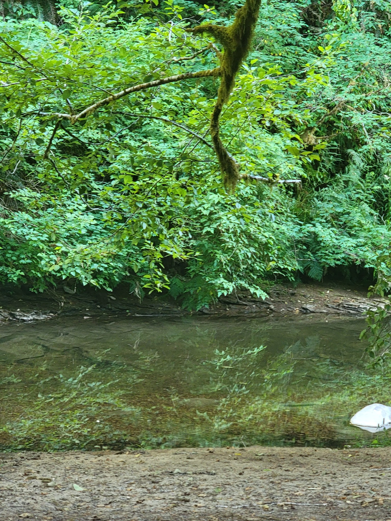 Archie Knowles Campground