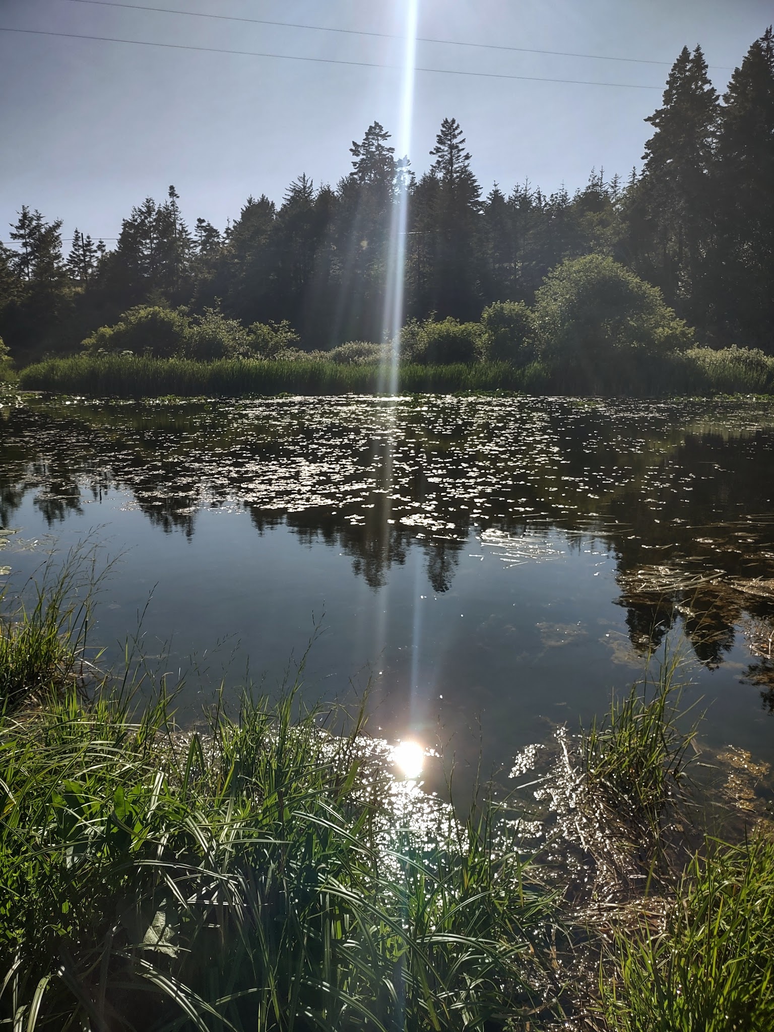 Arizona Beach State Rec Area