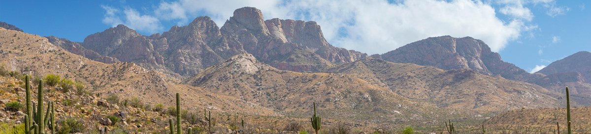 Ringtail Campground