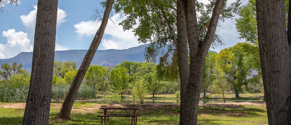 Group Campgrounds
