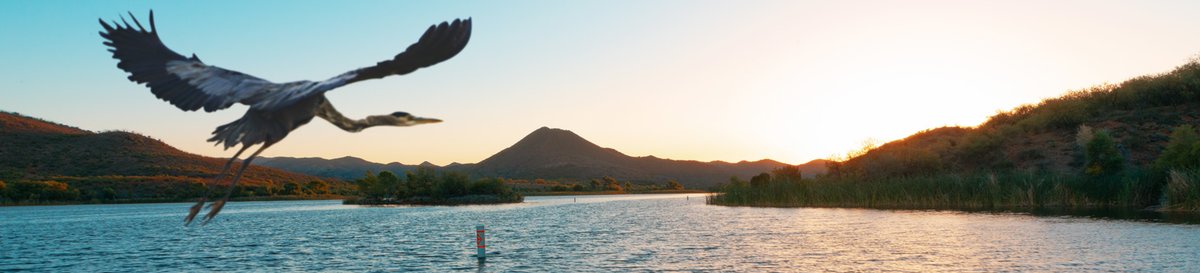 Boat-In Campsites