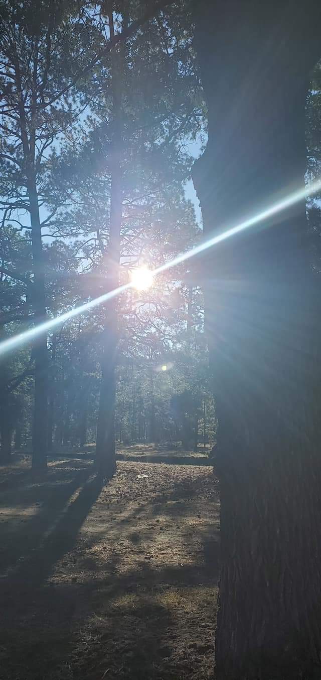 Armijo Springs Campground