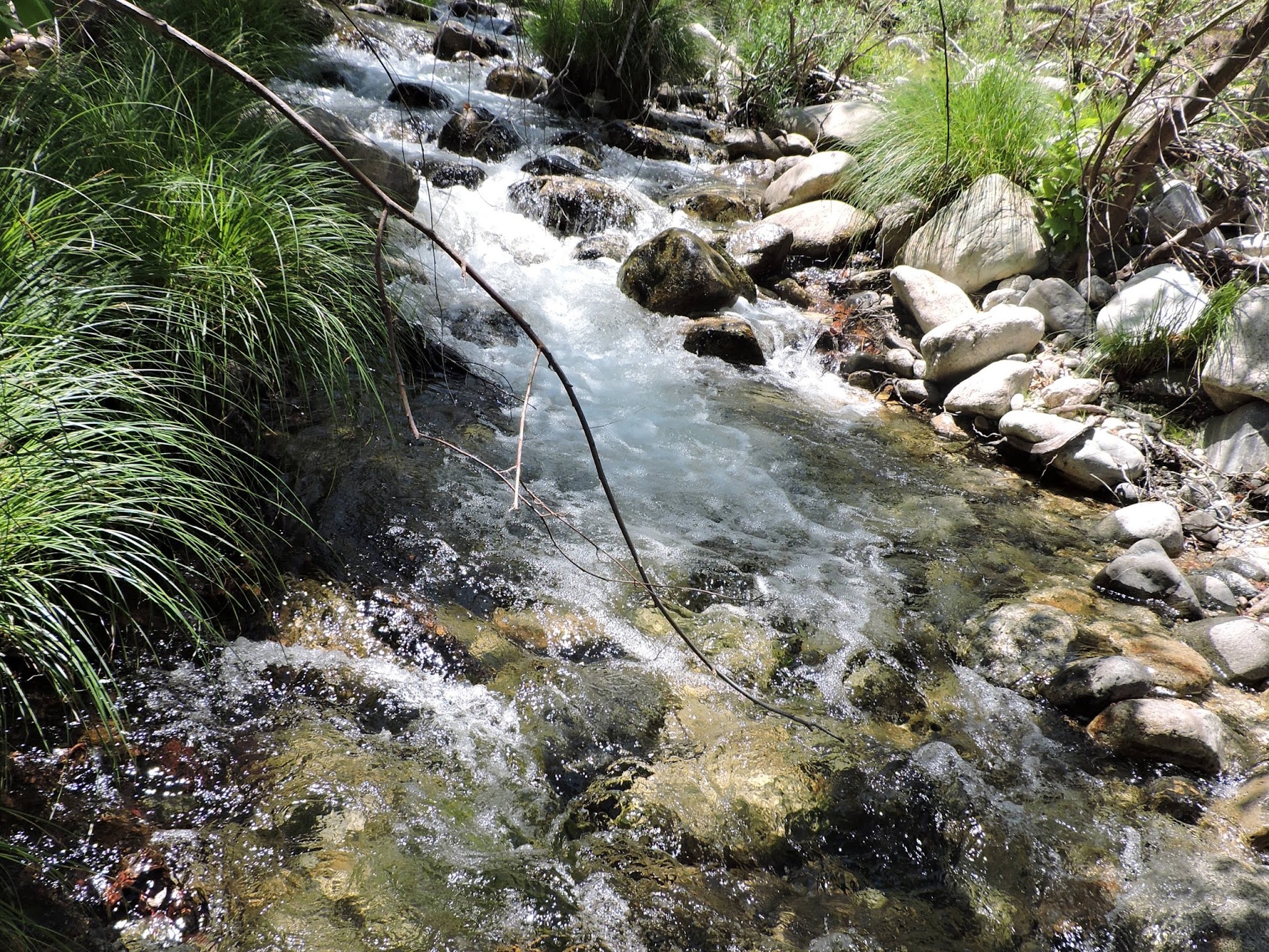 Arroyo Seco Group Campground