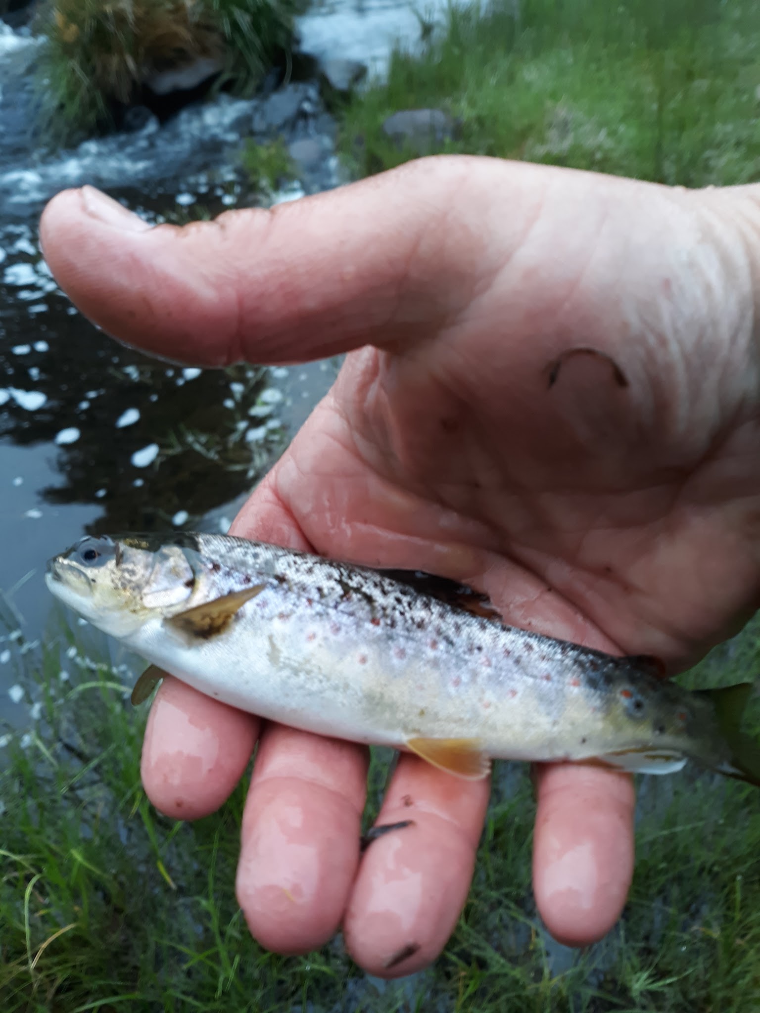 Ash Creek Campground