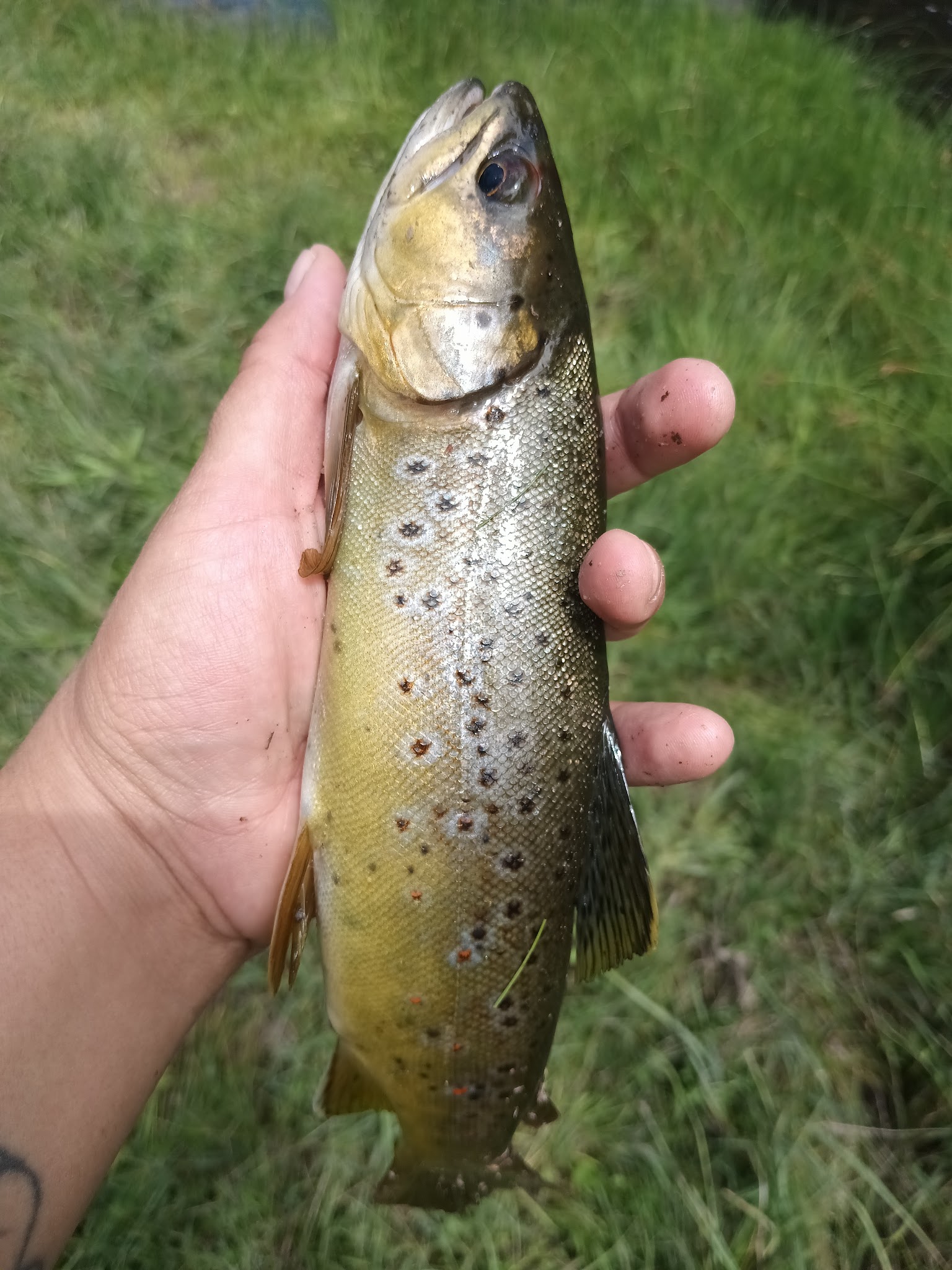 Ash Creek Campground