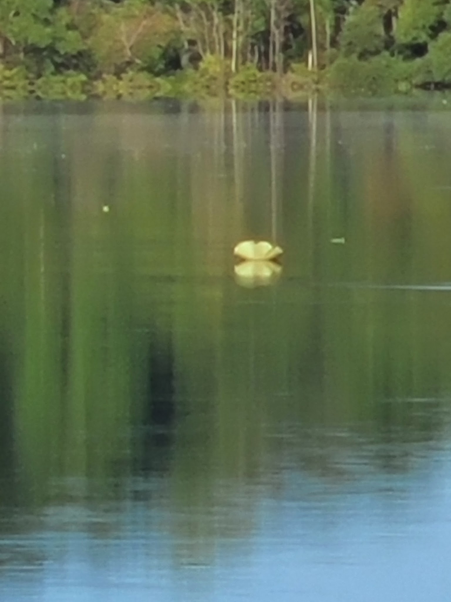 Asher Creek Campground