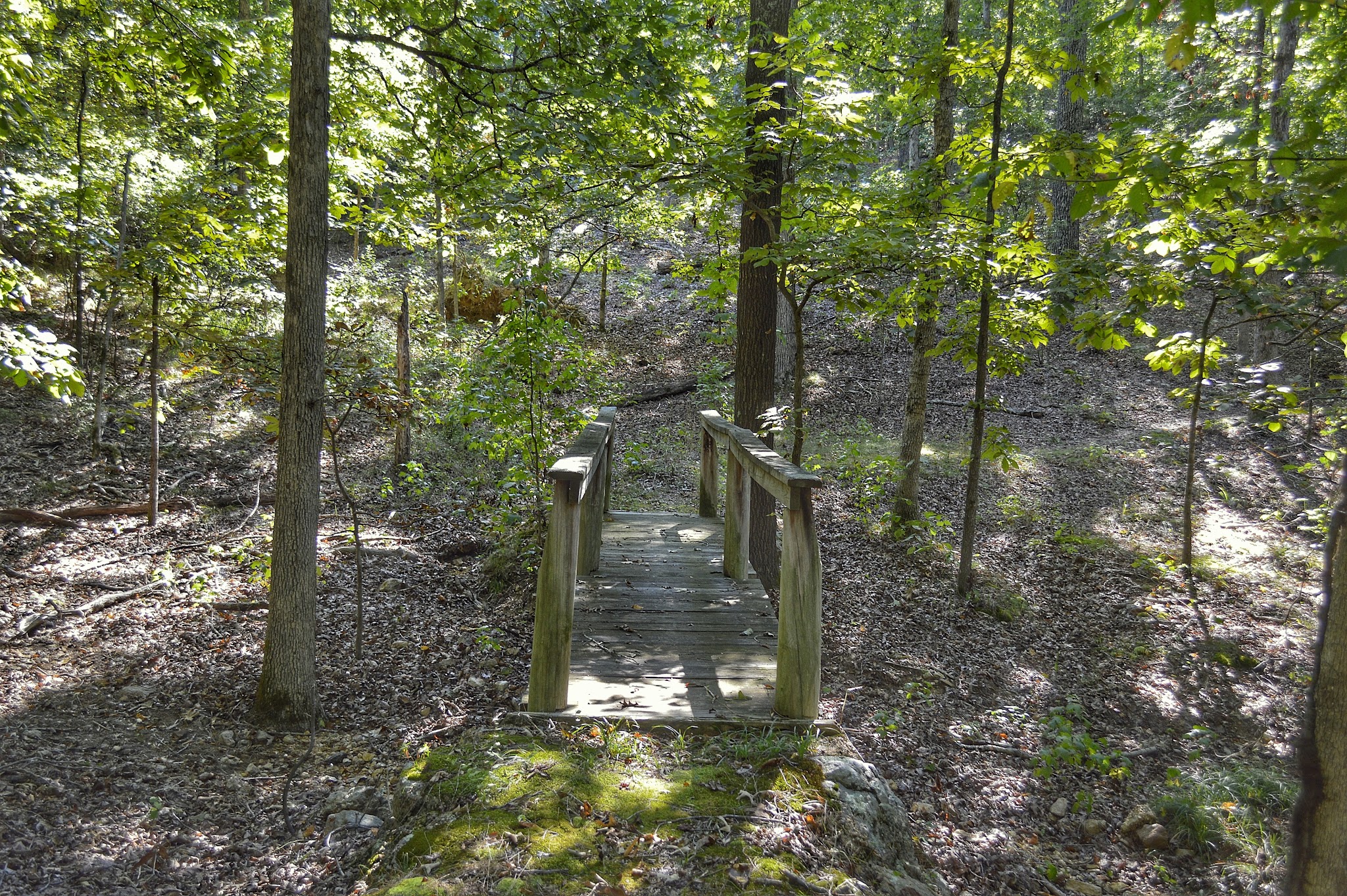 Asher Creek Campground