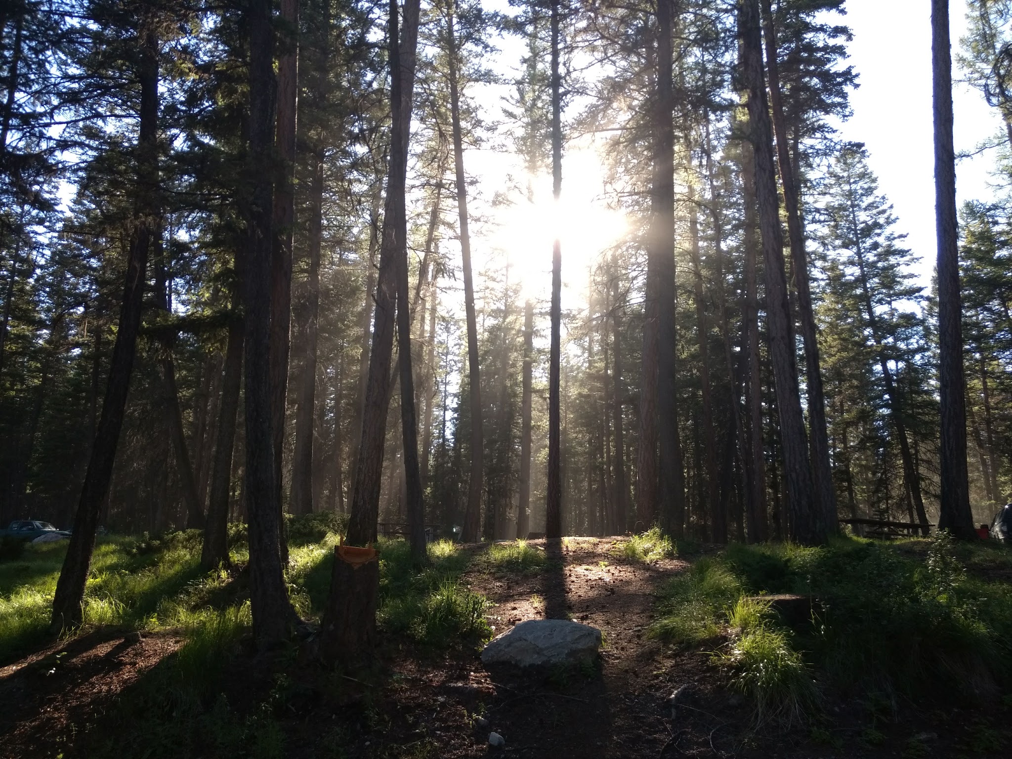 Ashley Lake North Campground