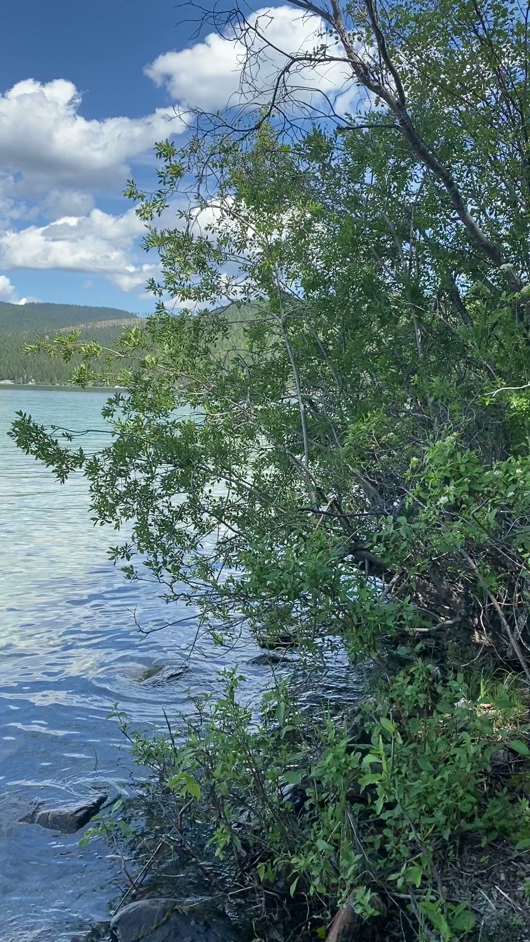 Ashley Lake South Campground