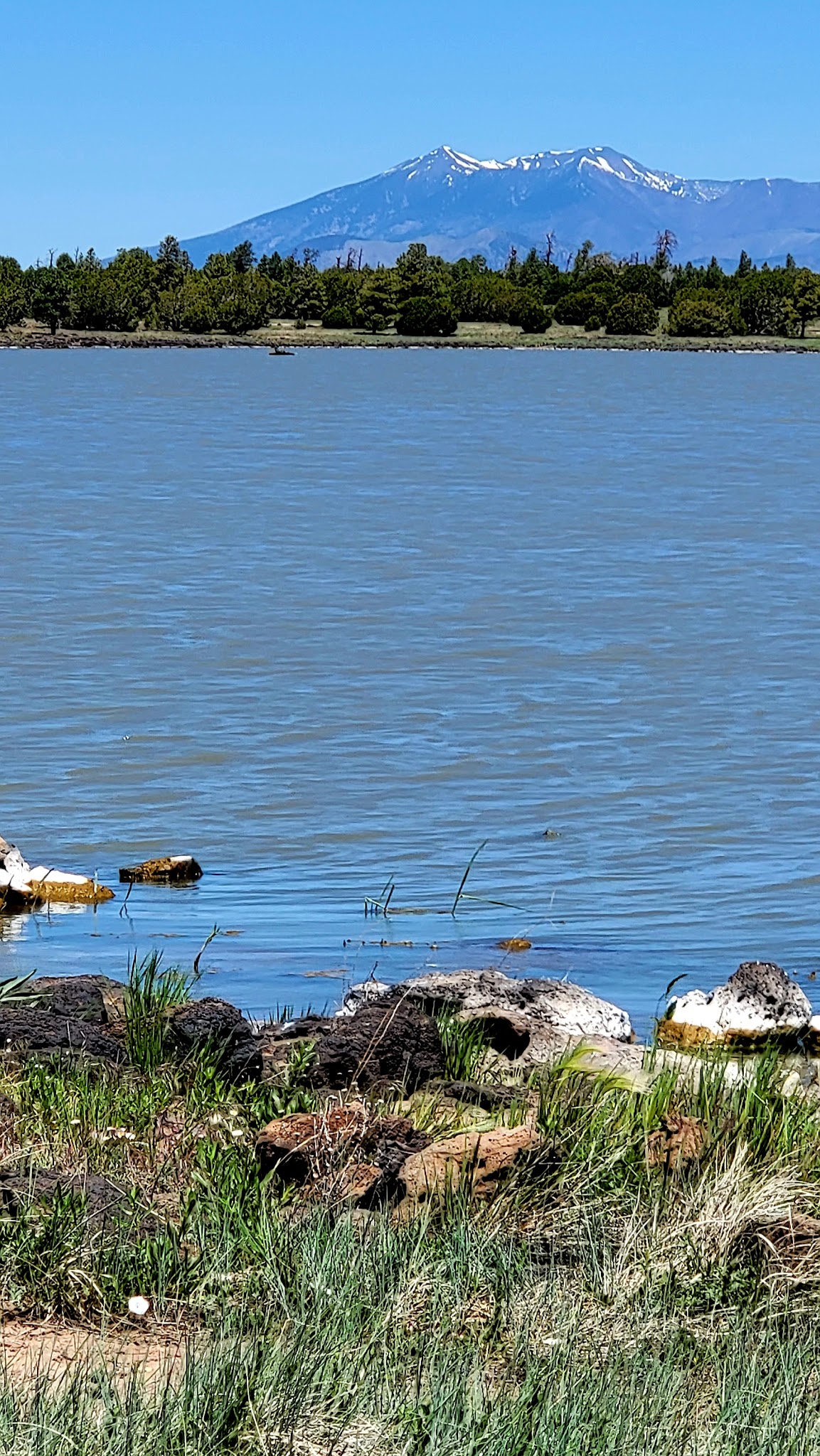 Ashurst Lake Campgrounds