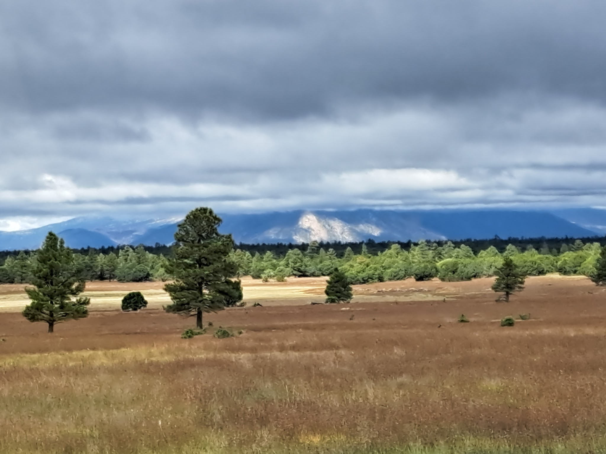 Ashurst Lake Campgrounds