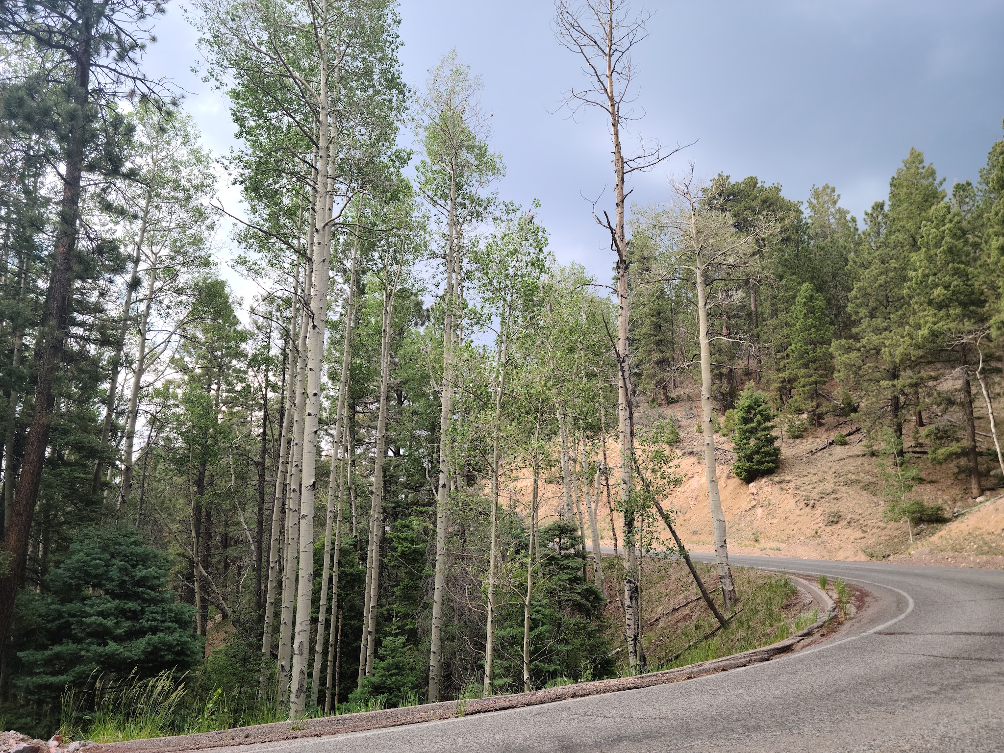 Aspen Basin Campground