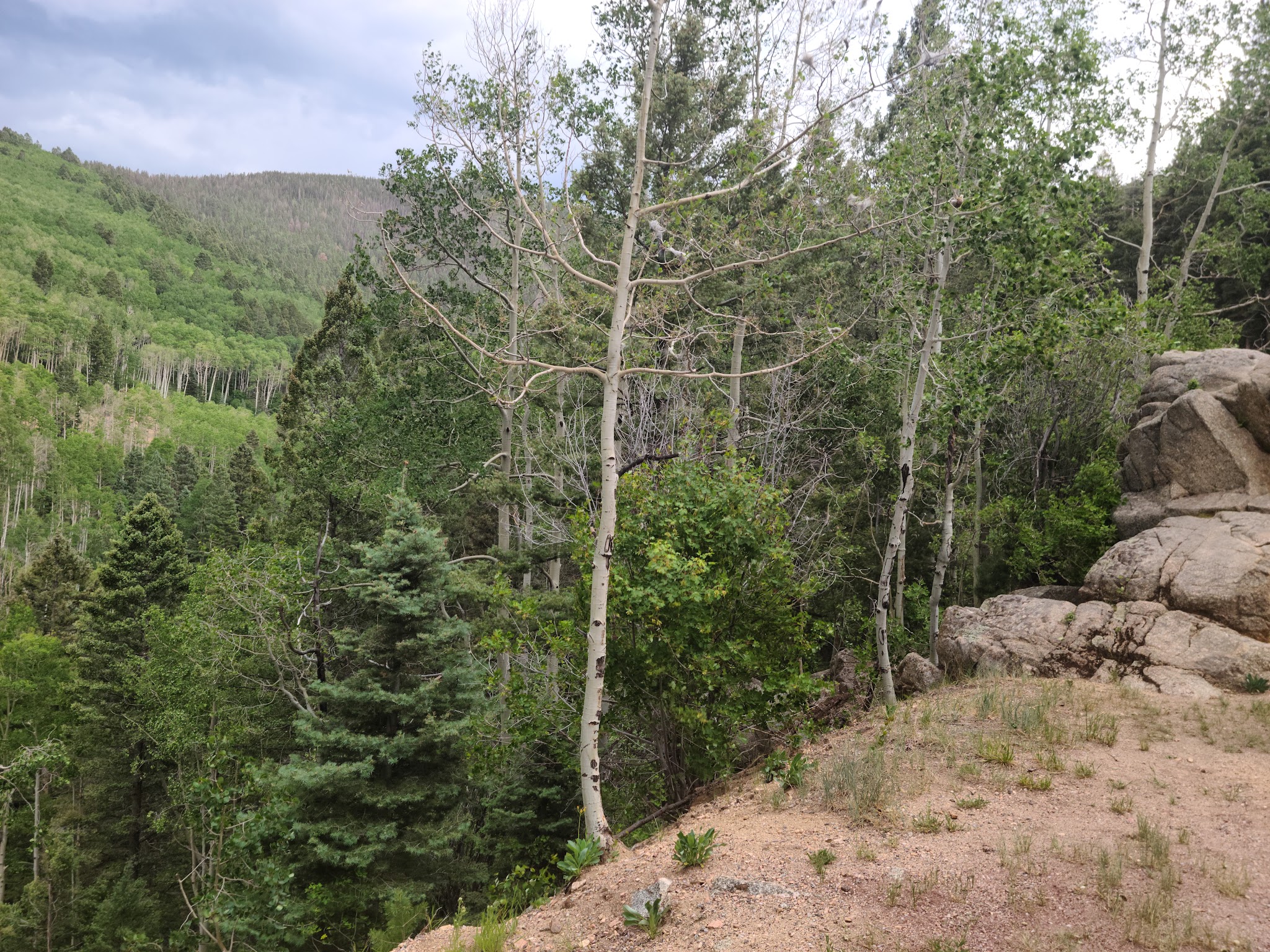 Aspen Basin Campground