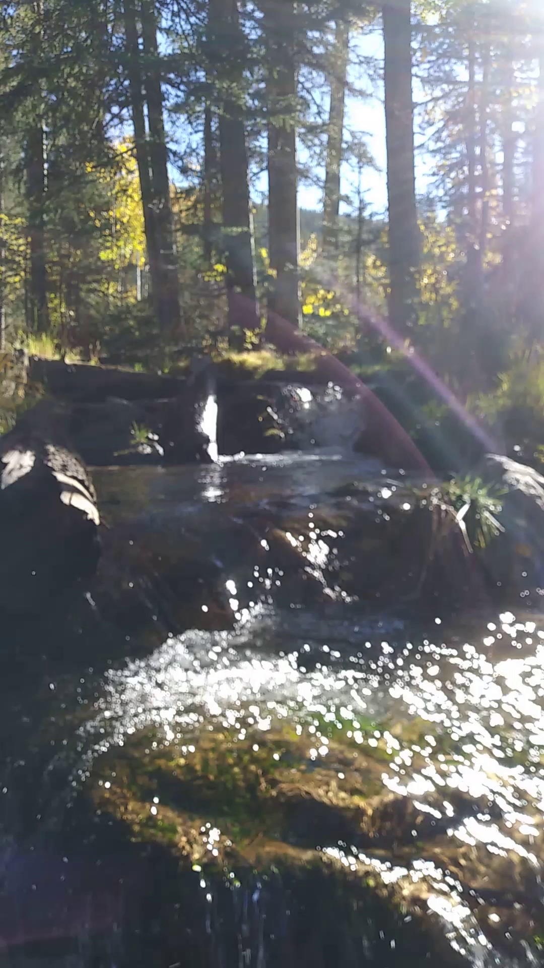 Aspen Basin Campground