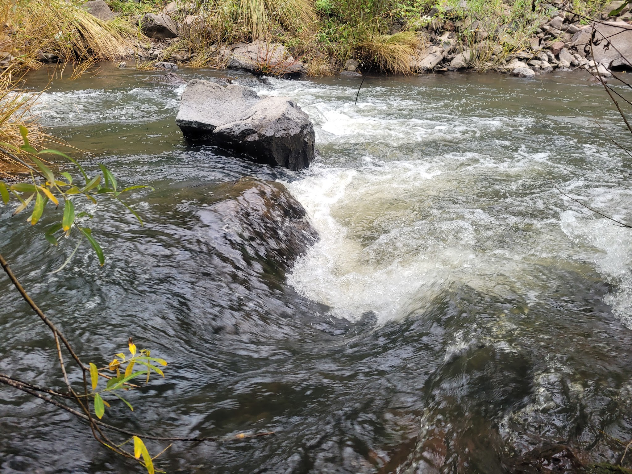 Aspen Campground - East Fork Black River