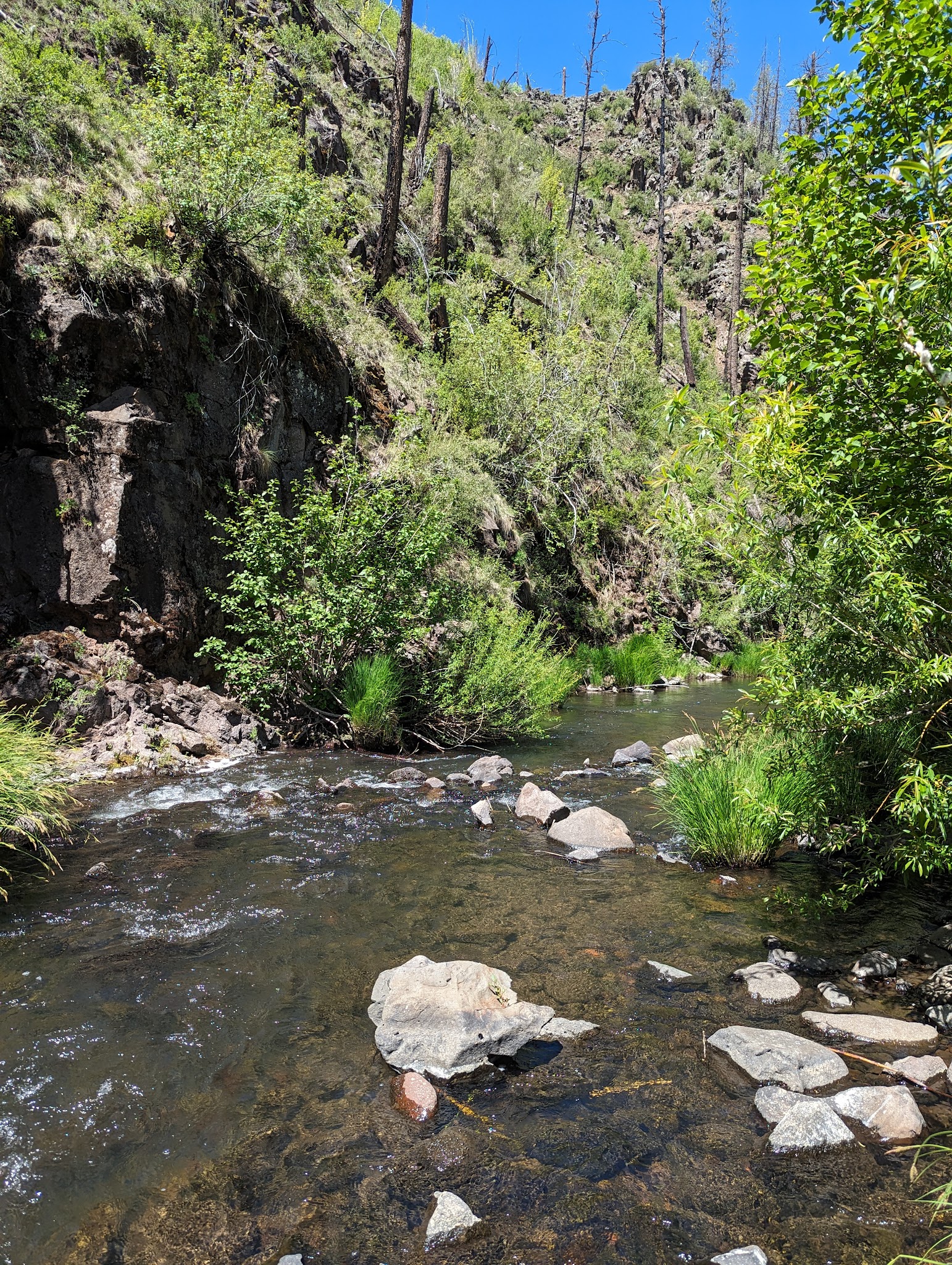 Aspen Campground - East Fork Black River