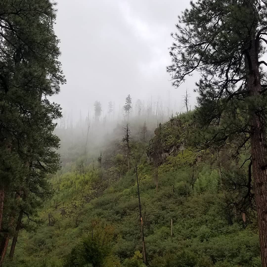 Aspen Campground - East Fork Black River