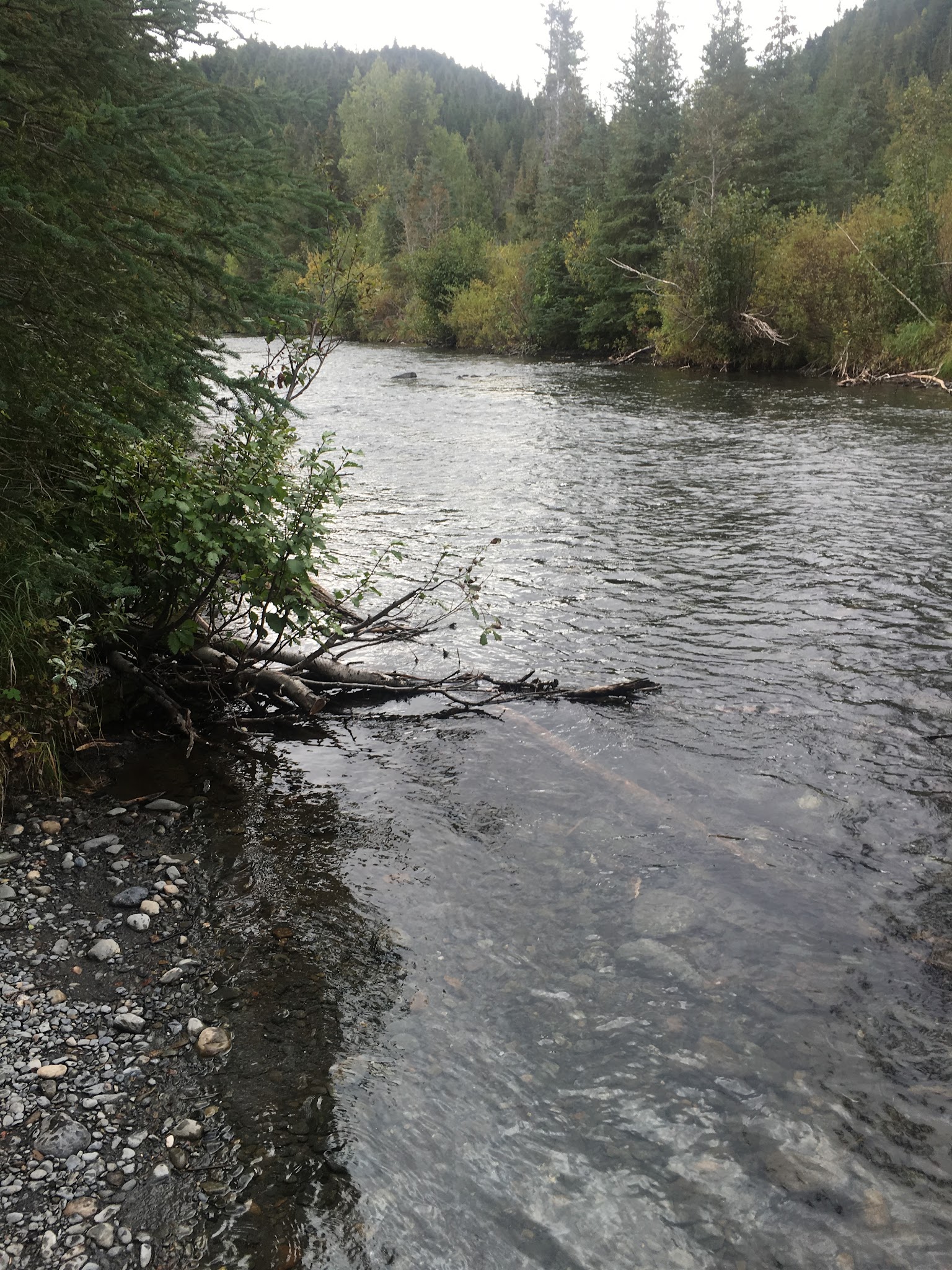 Aspen Flats Cabin (Chugach National Forest, Ak)