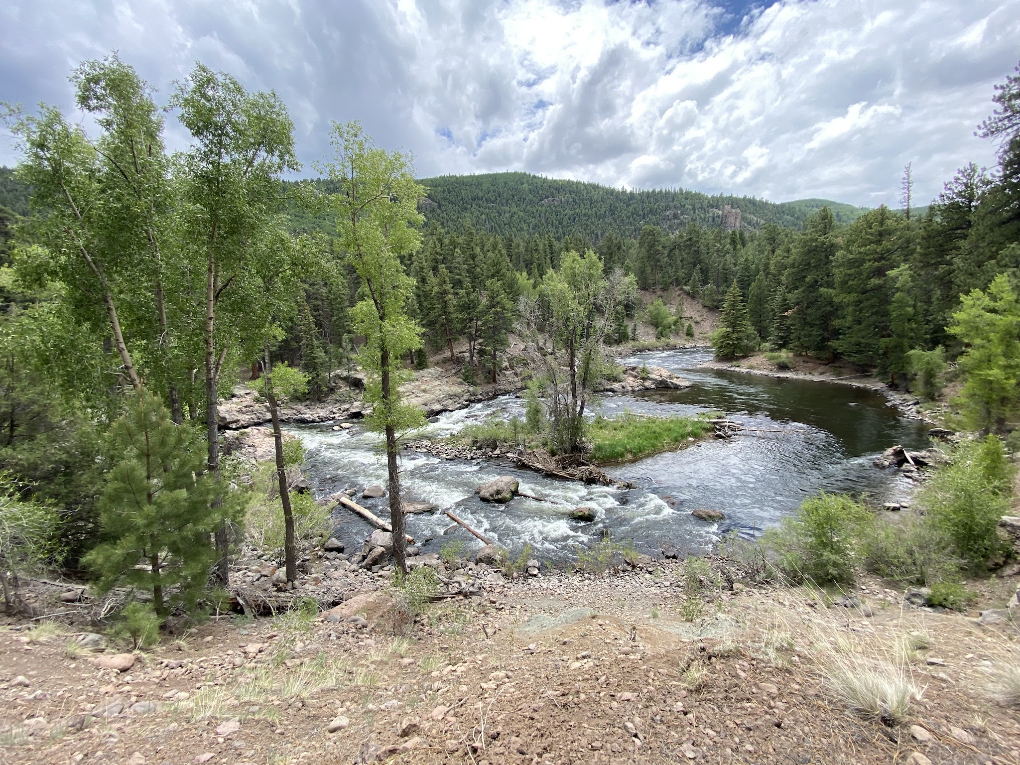 Aspen Glade (Rio Grande National Forest, Co)