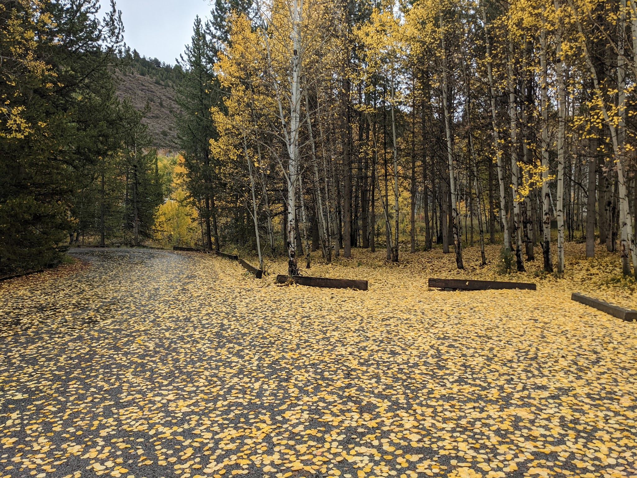 Aspen Grove Campground
