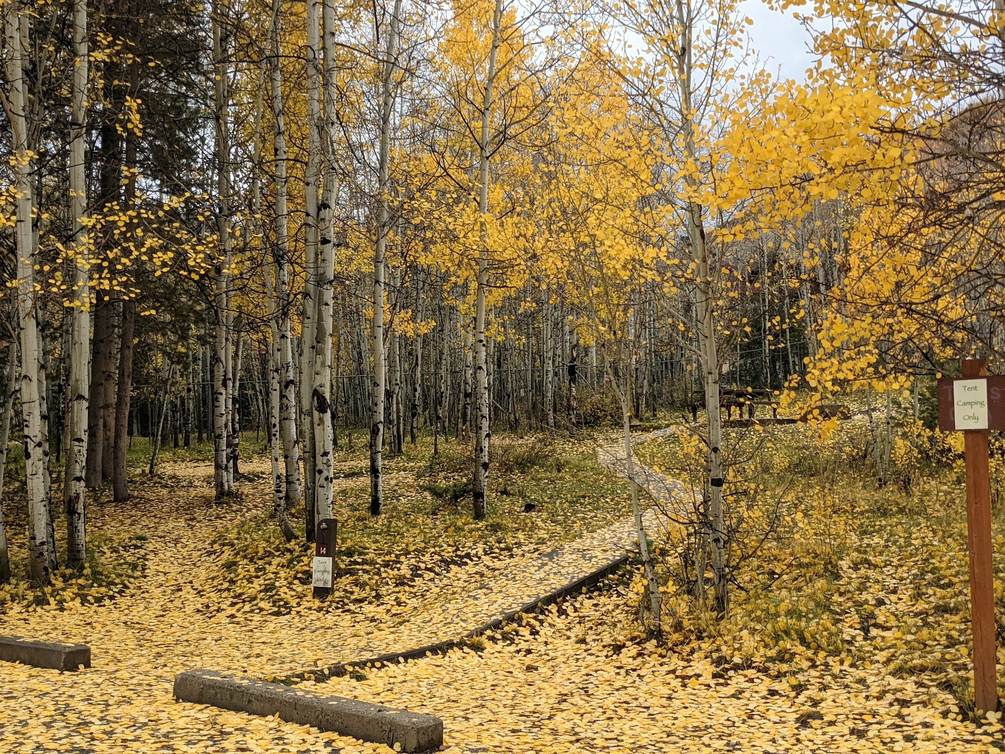 Aspen Grove Campground