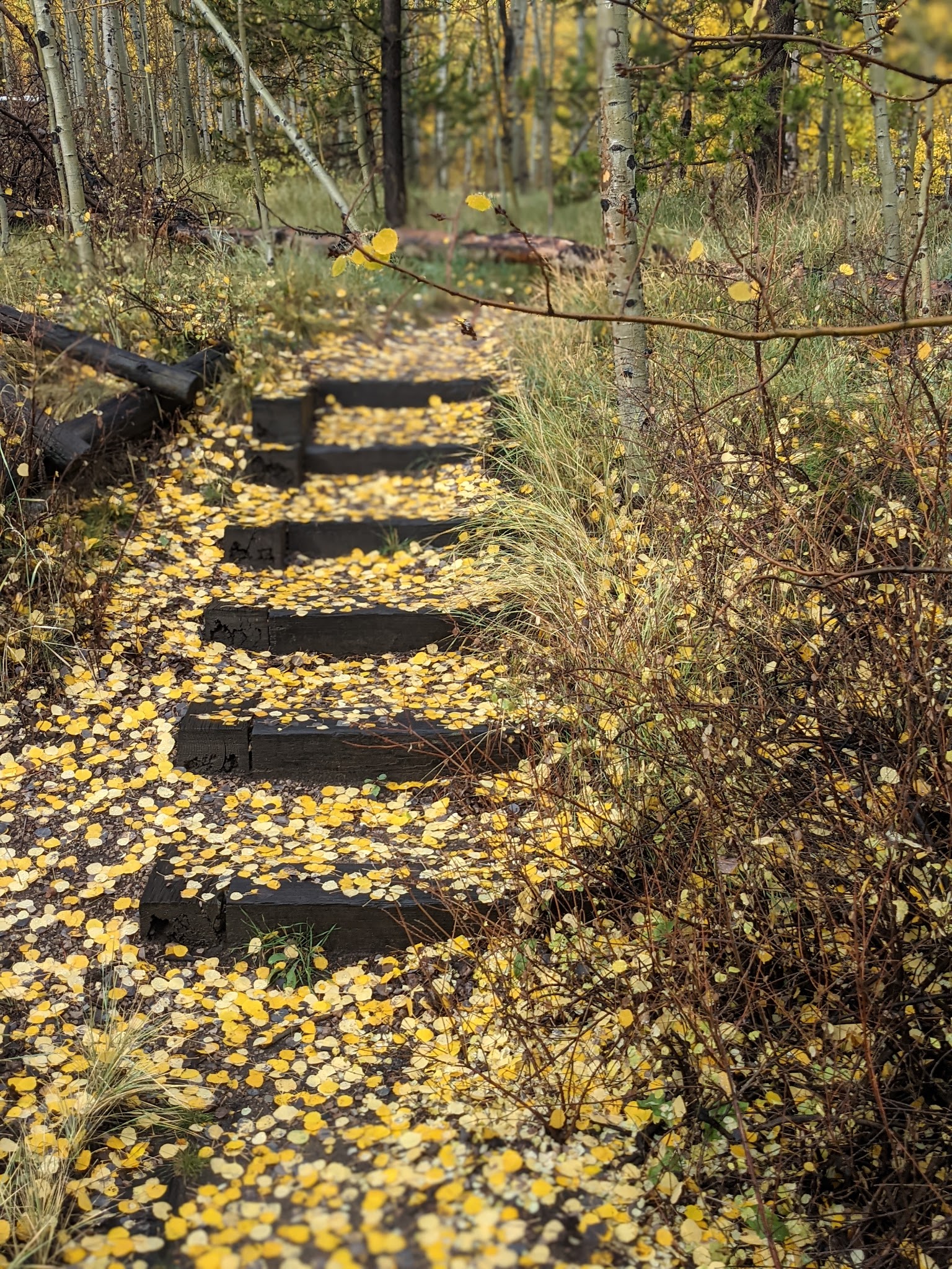 Aspen Grove Campground