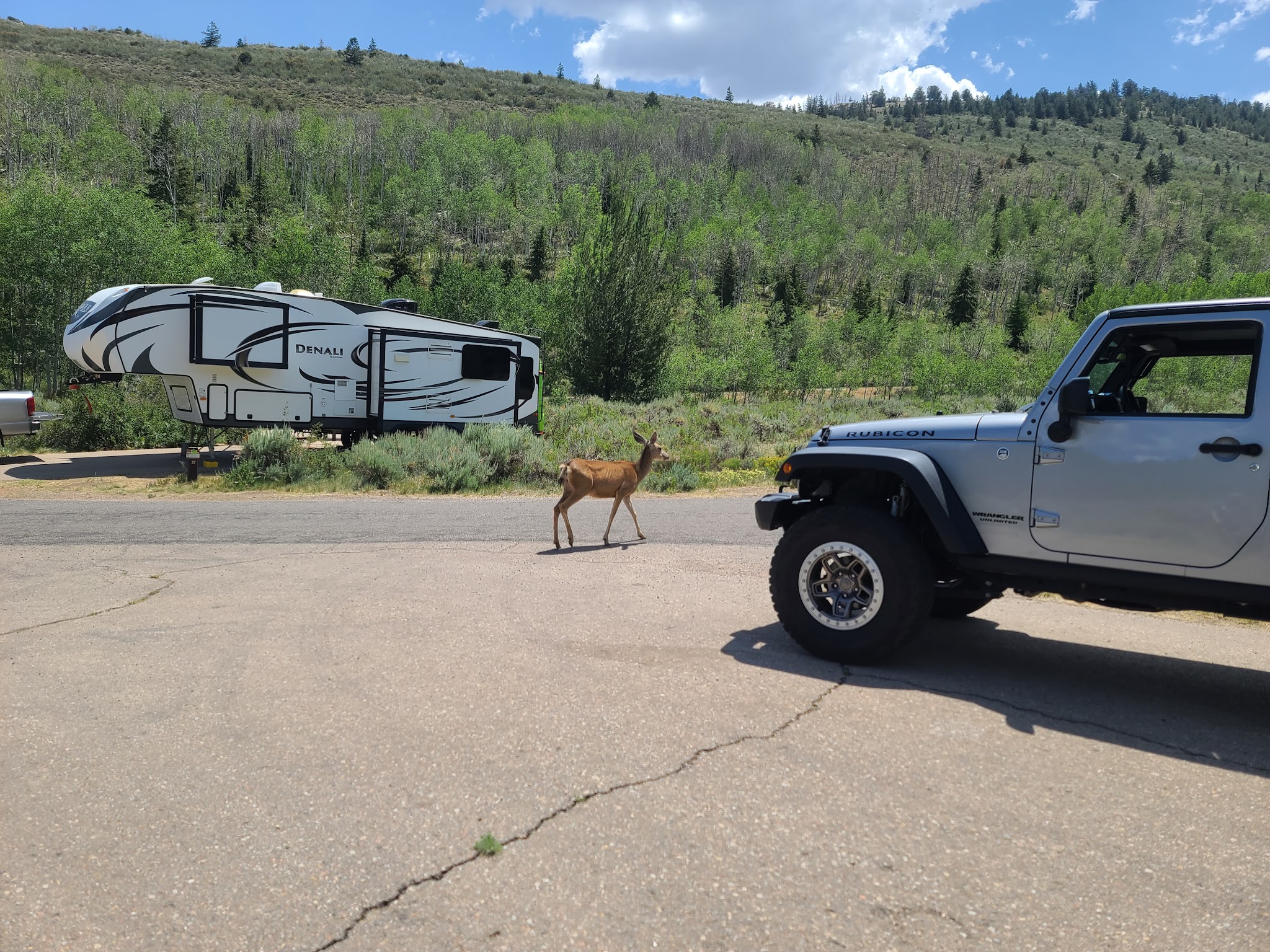 Aspen Grove Campground