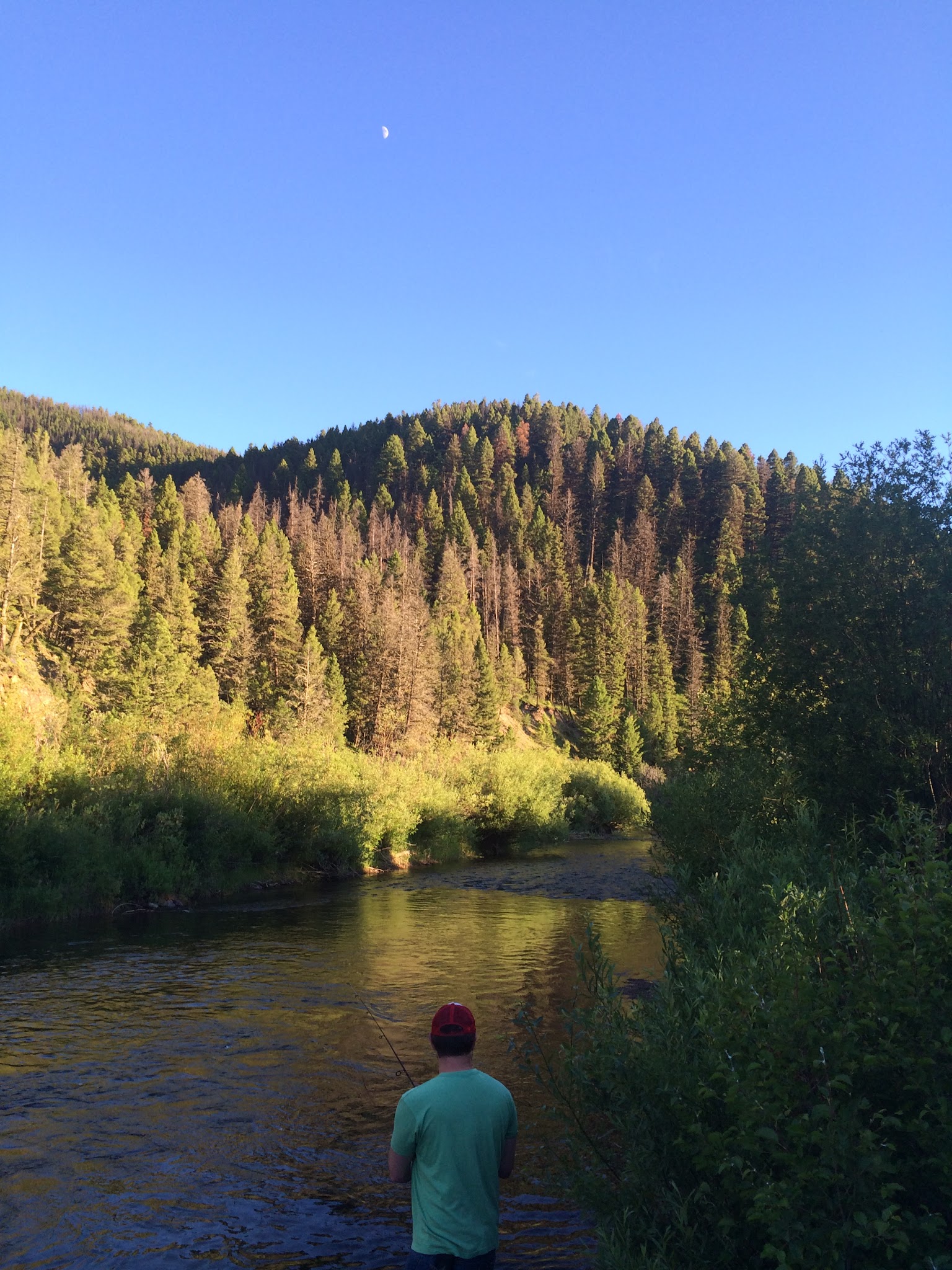 Aspen Grove Group Use Area (Helena-Lewis And Clark Nf, Mt)